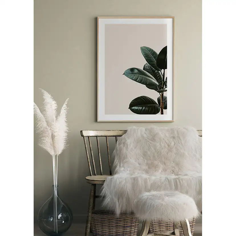Poster Gallerix Rubber Plant Natural