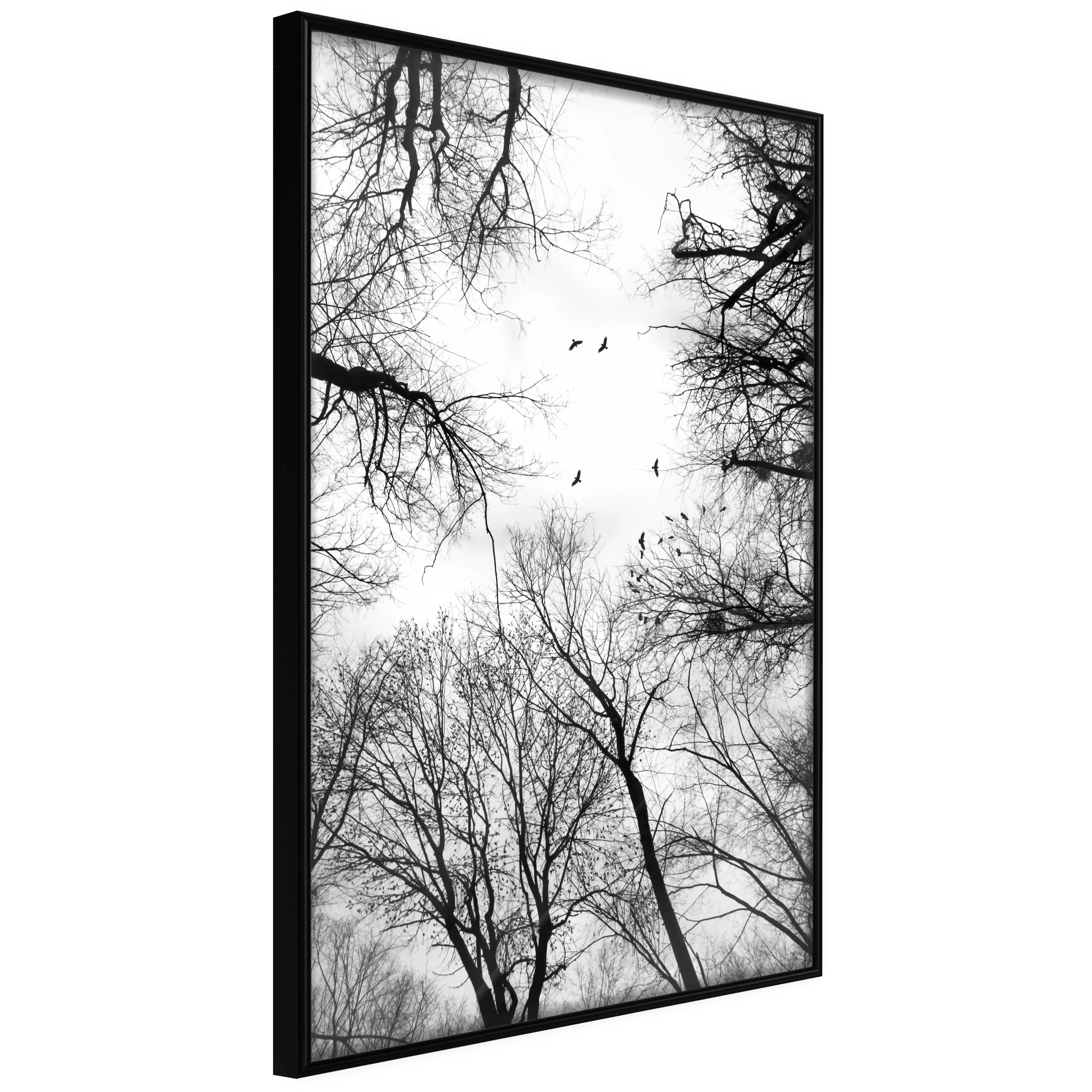 Affisch - Winter Flight [Poster] 40x60 Svart ram, 40x60 cm