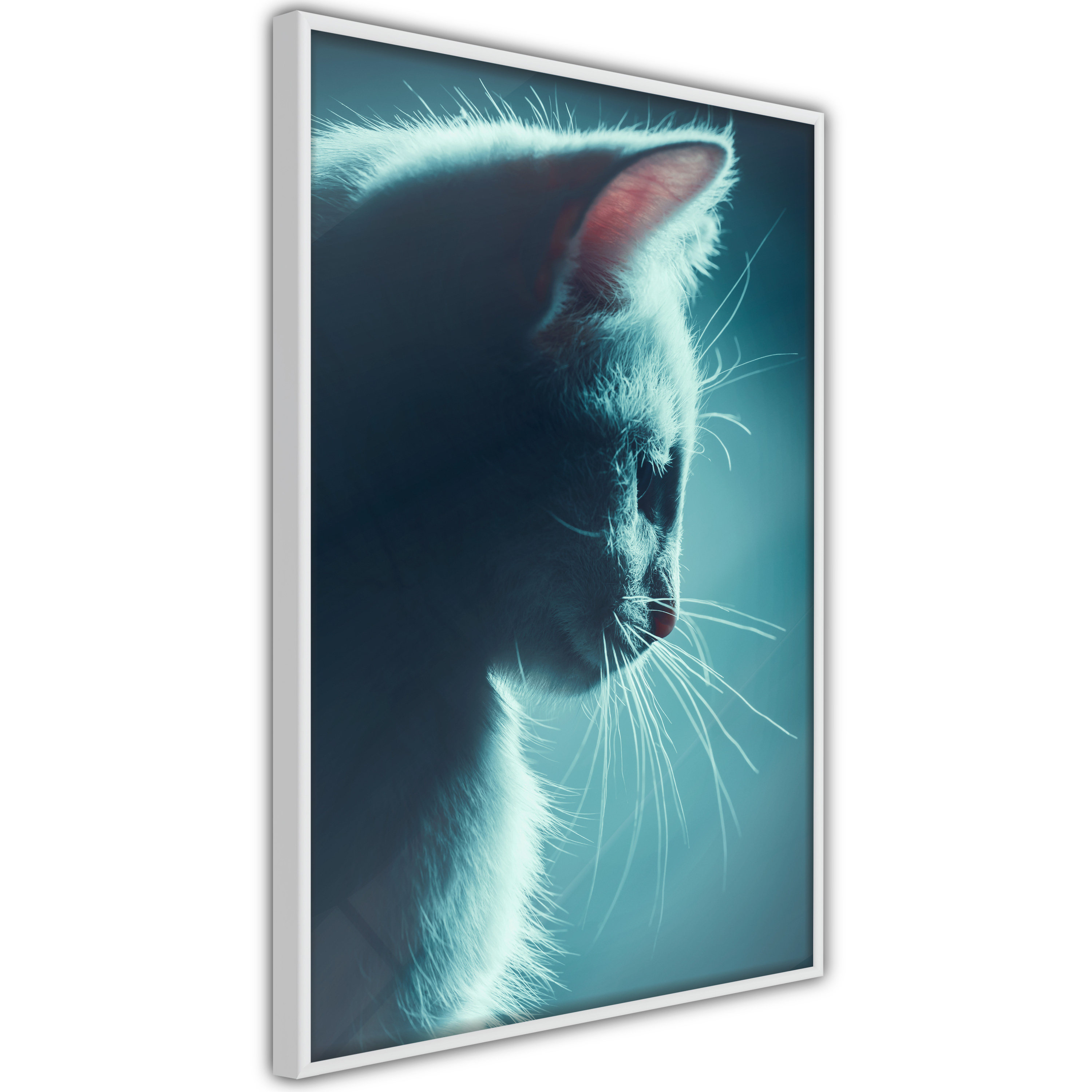 Poster Artgeist Affisch Night Tramp