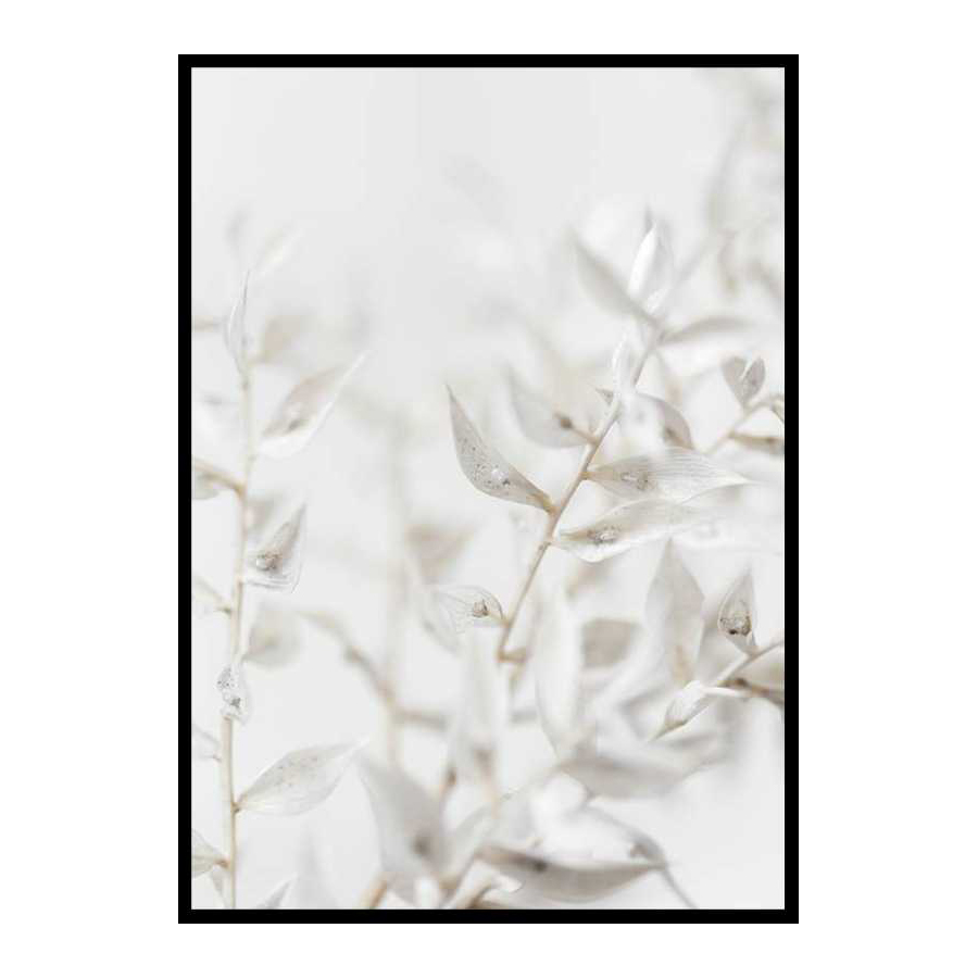 White Dried Flower 30x40 cm