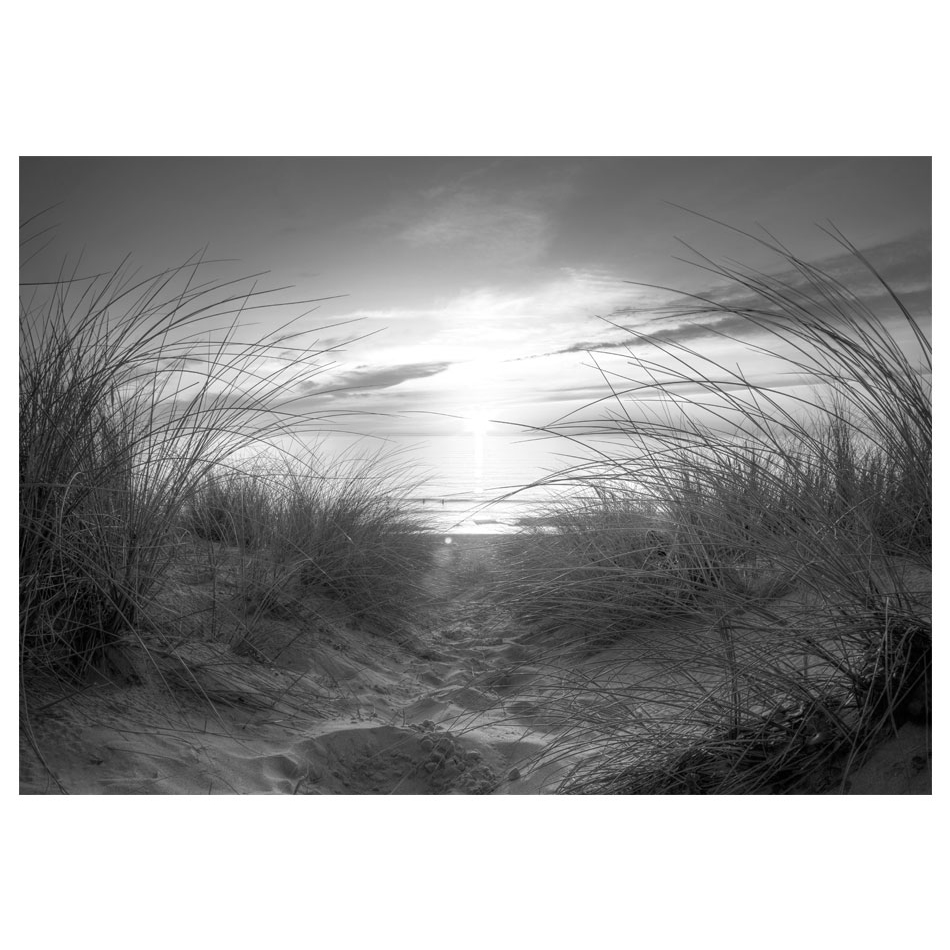 Fototapet Arkiio Beach Svart/Vit 450x315 cm