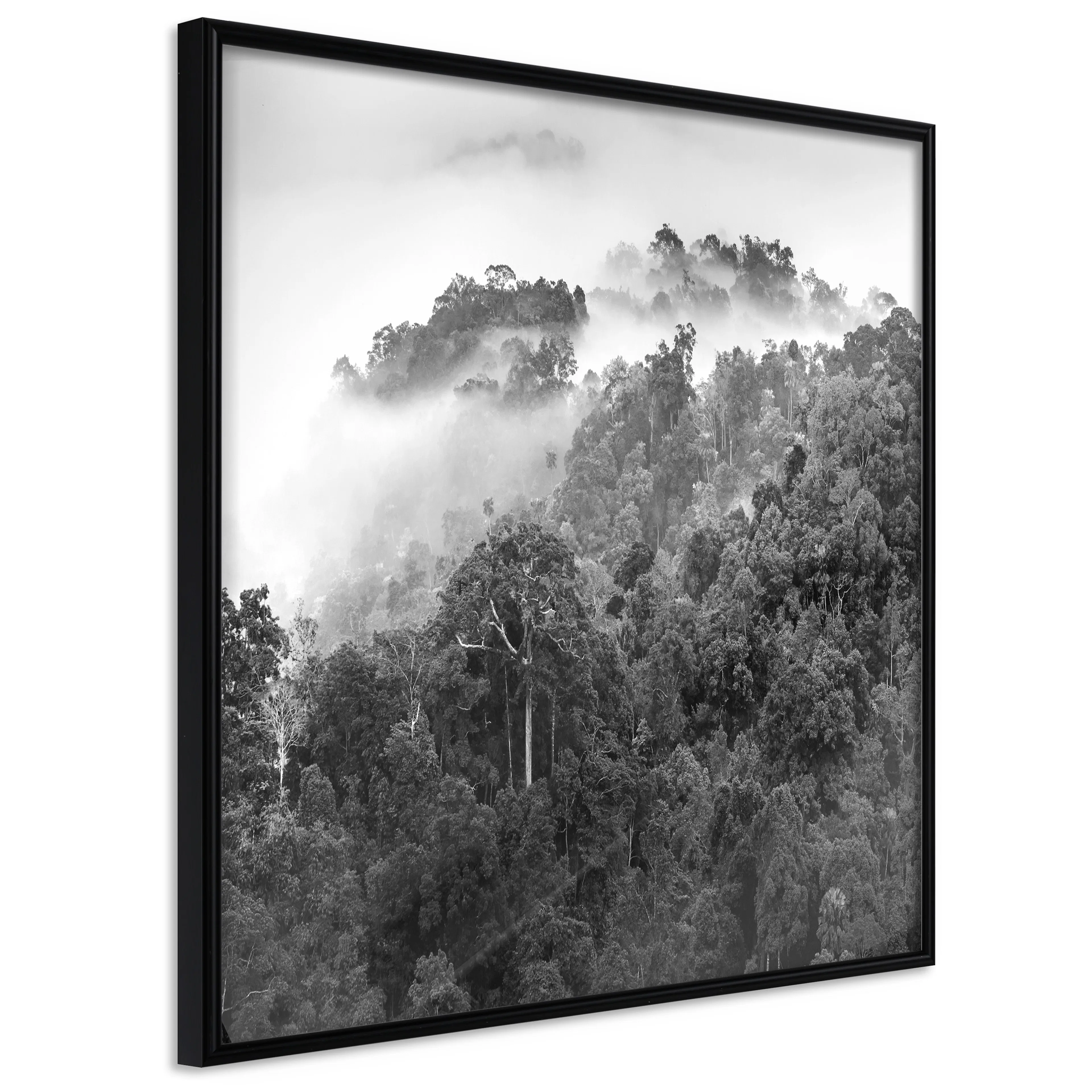 Affisch - Rainforest [Poster] 20x20 Svart ram, 20x20 cm