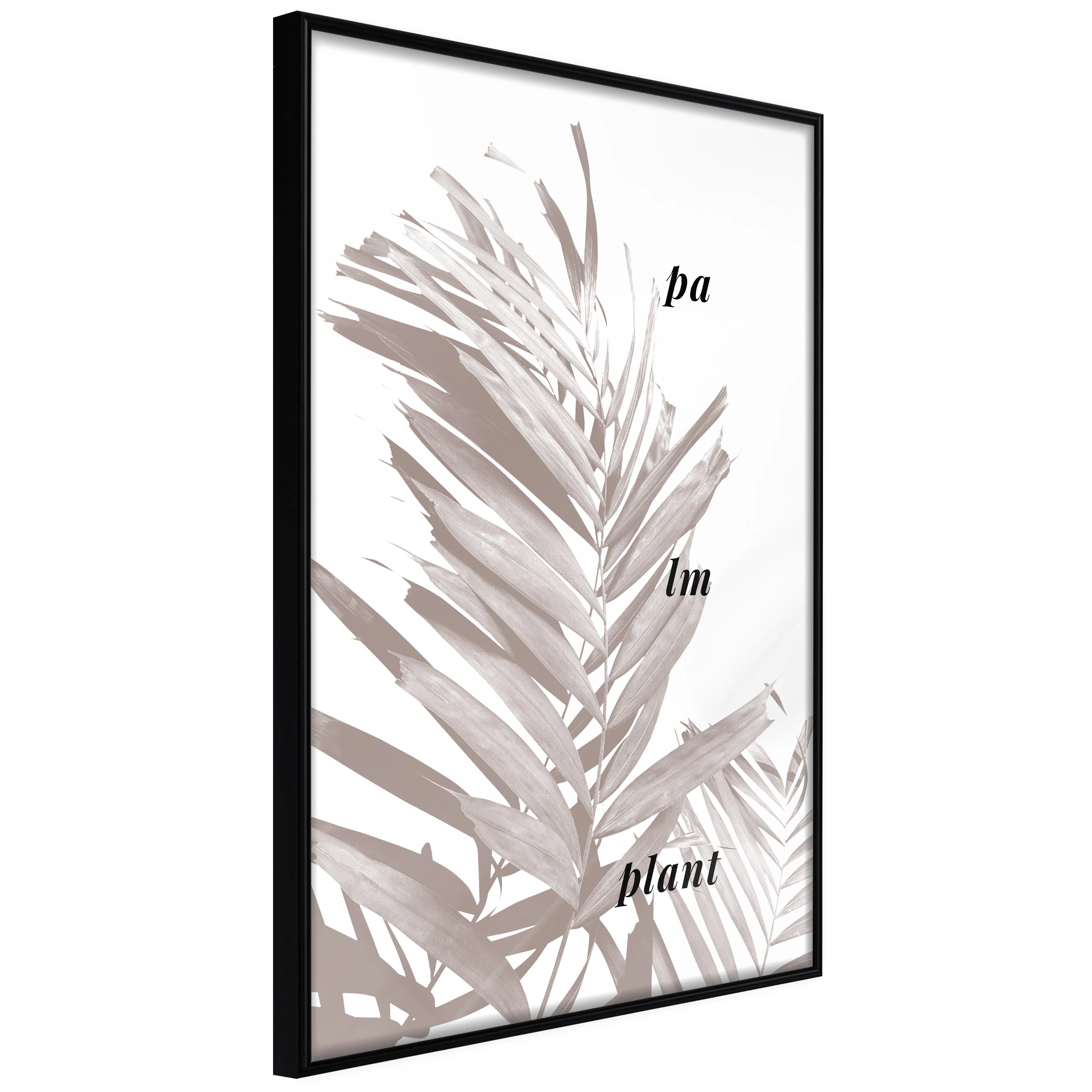 Affisch - Palm Plant [Poster] 40x60 Svart ram, 40x60 cm