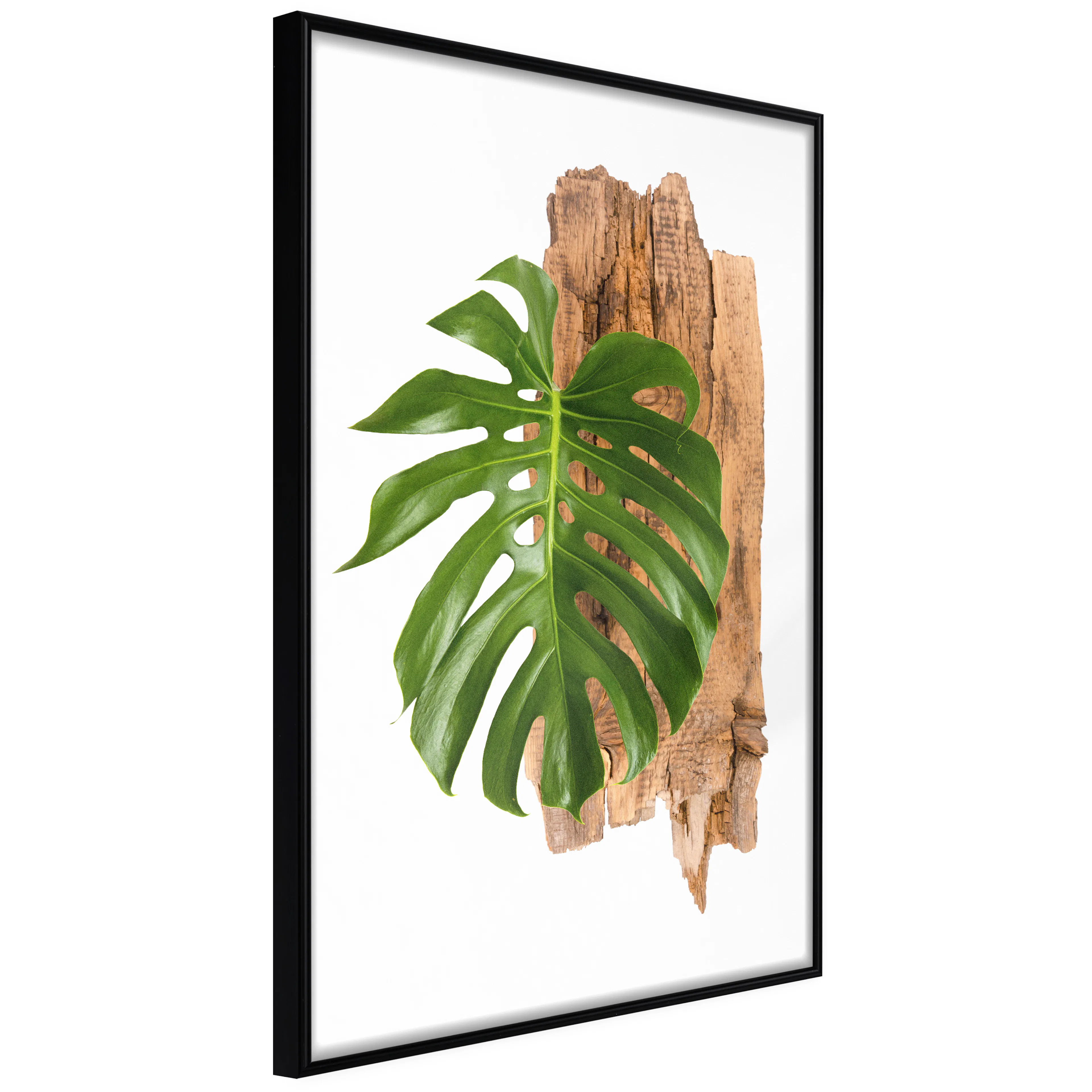Affisch - Power of Nature [Poster] 40x60 Svart ram, 40x60 cm