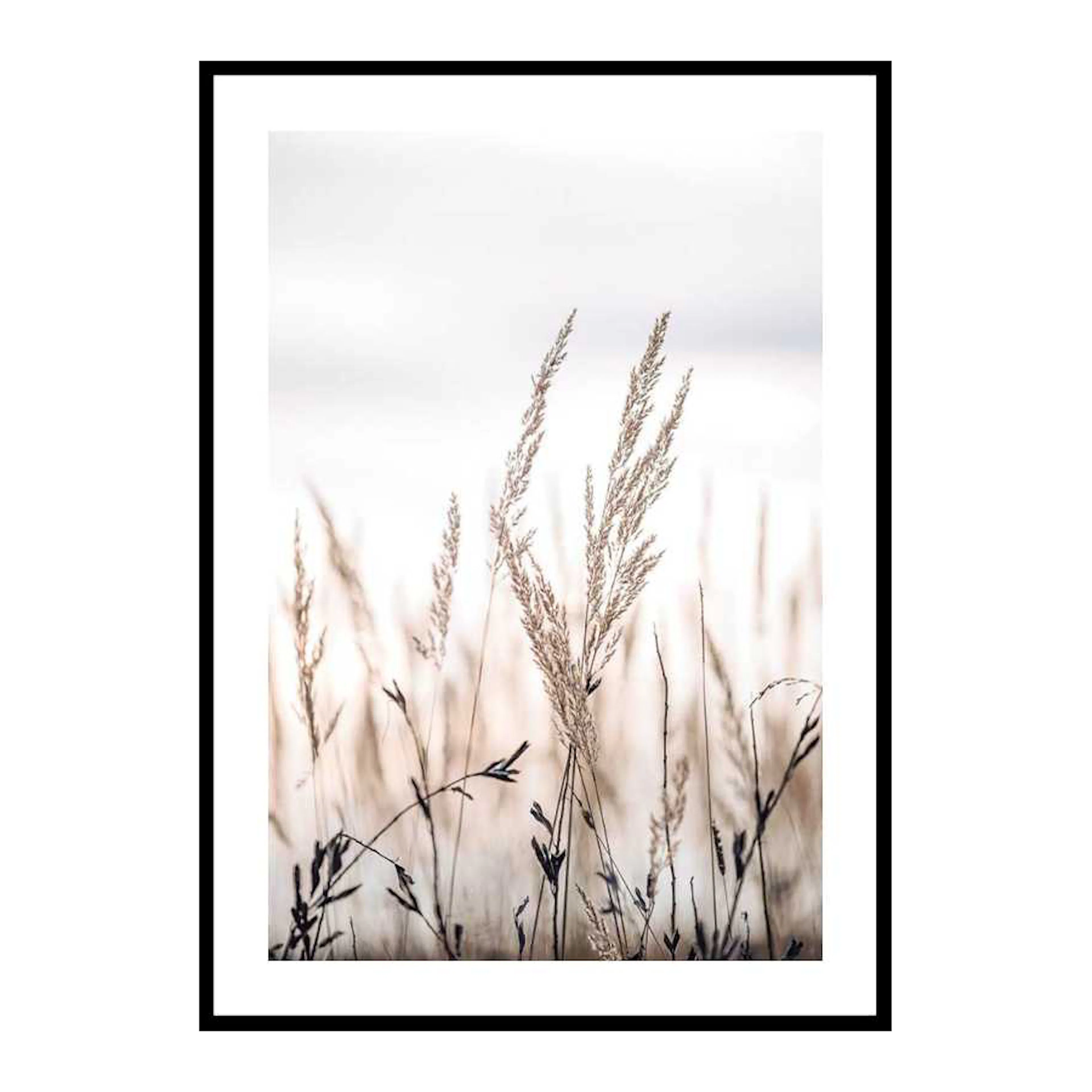 Poster Gallerix Sunset In The Field