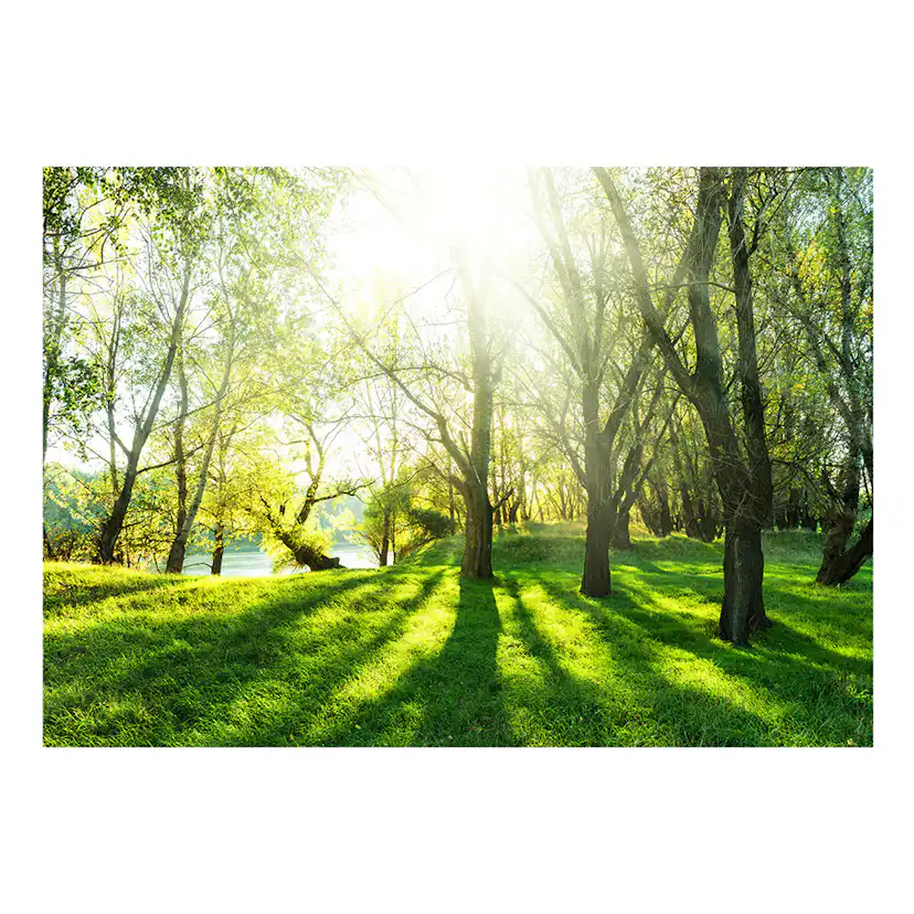 Fototapet Arkiio Sunny May Day