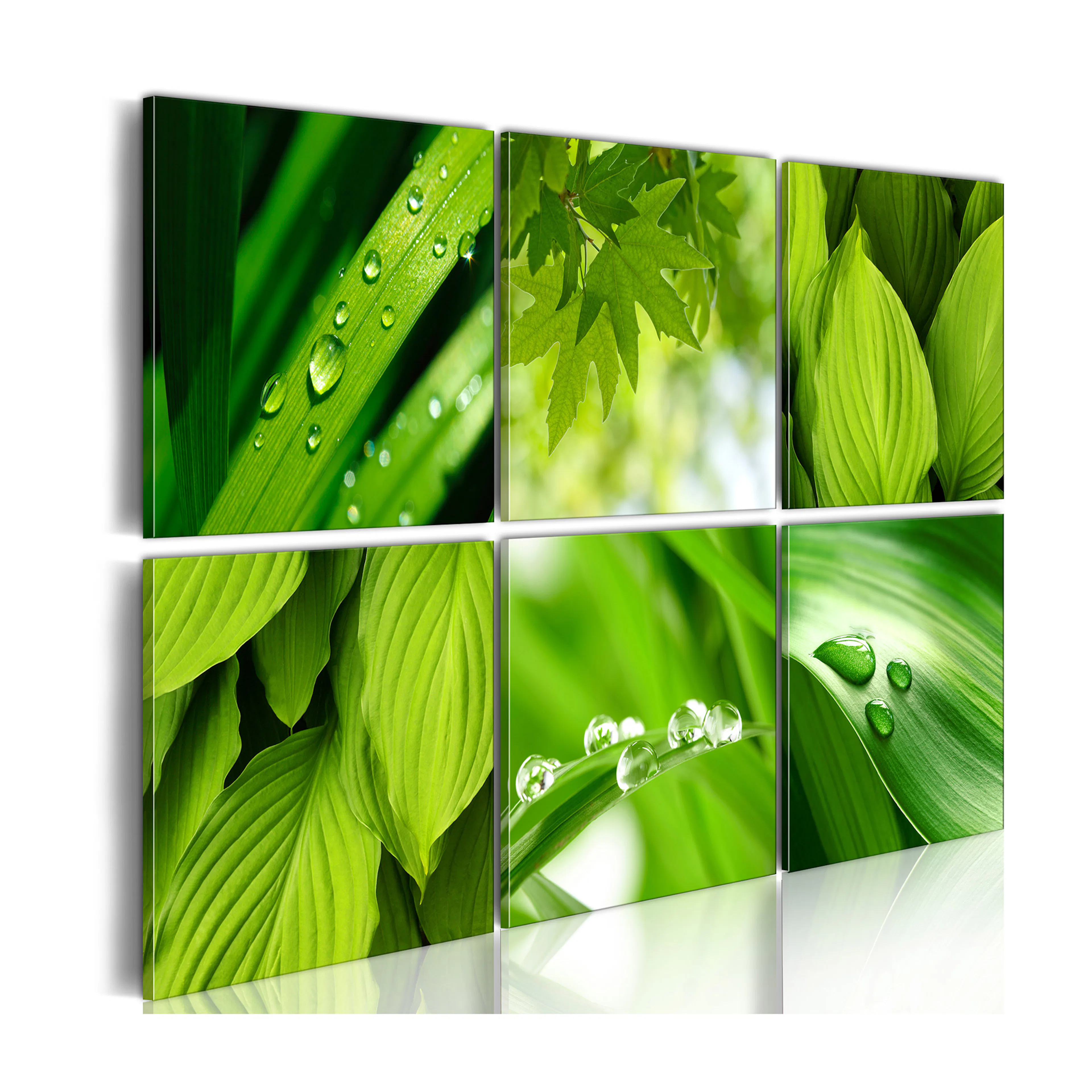 Tavla Arkiio Fresh Green Leaves