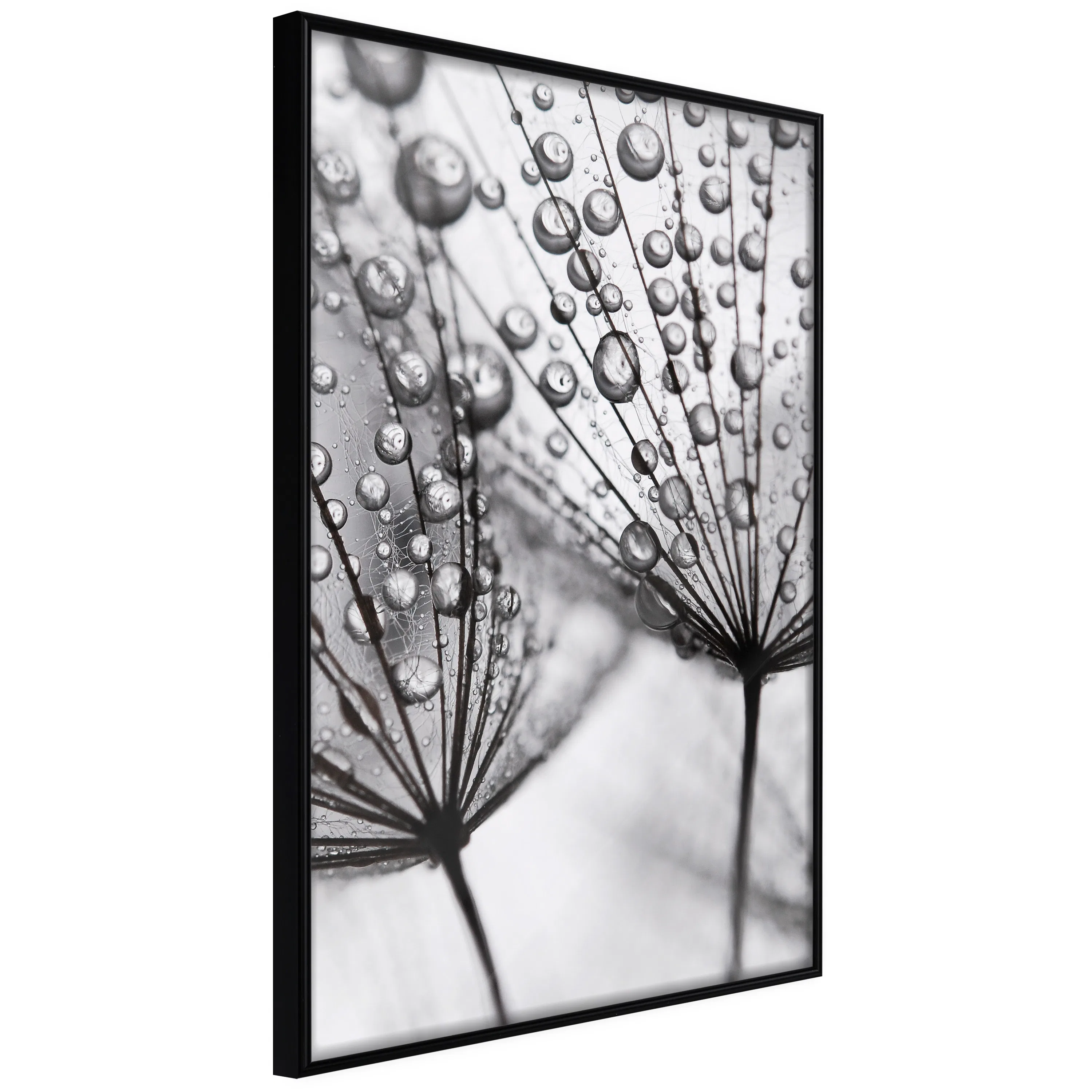 Poster Artgeist Affisch Morning Dew