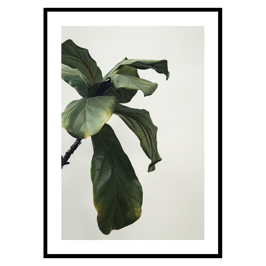 Poster Gallerix Botanical Leaves