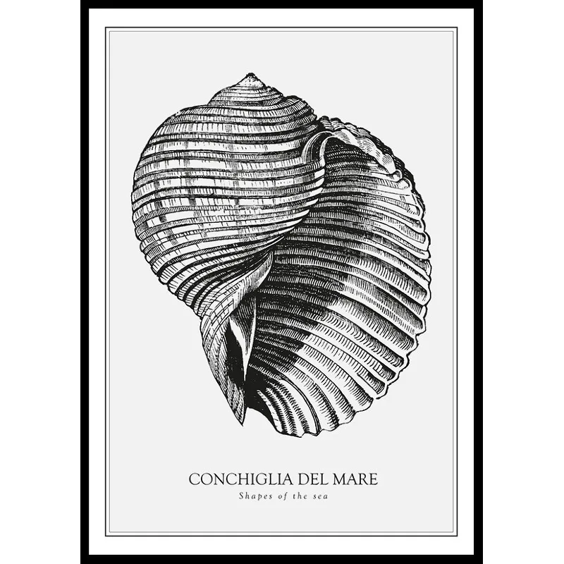 Poster Gallerix Conchiglia Del Mare