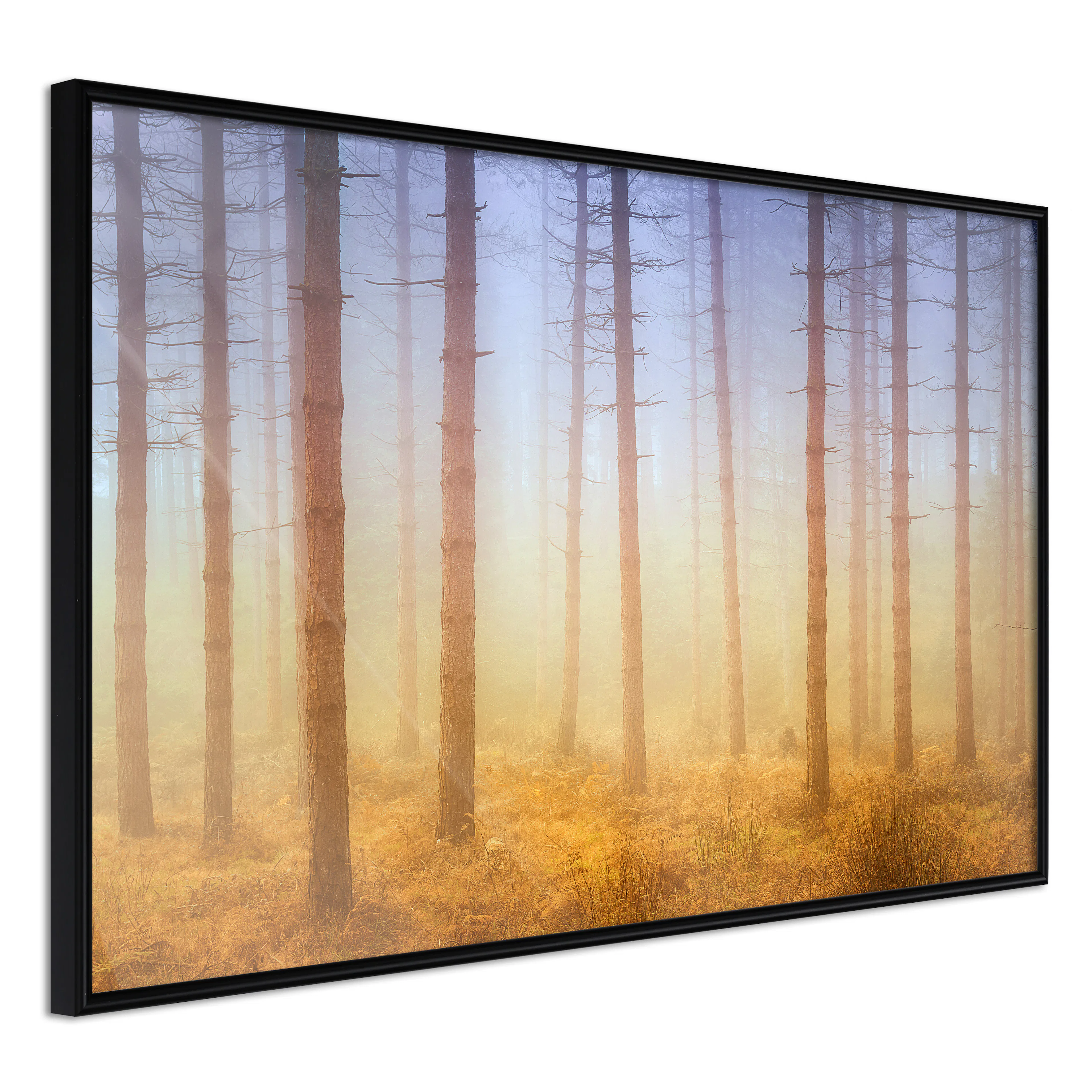 Affisch - Foggy Forest [Poster] 60x40 Svart ram, 60x40 cm