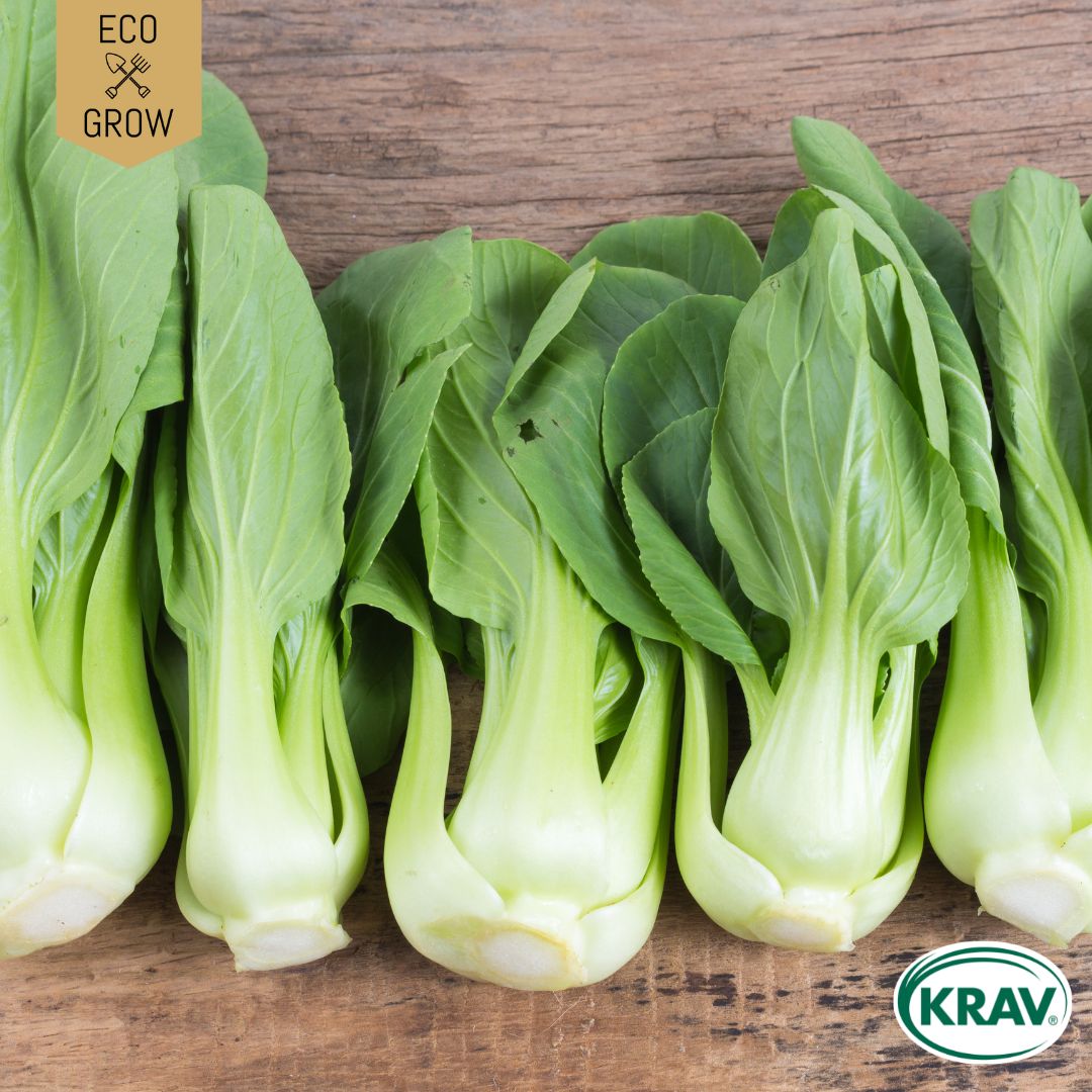 Fröpåse Eco Grow Pak Choi