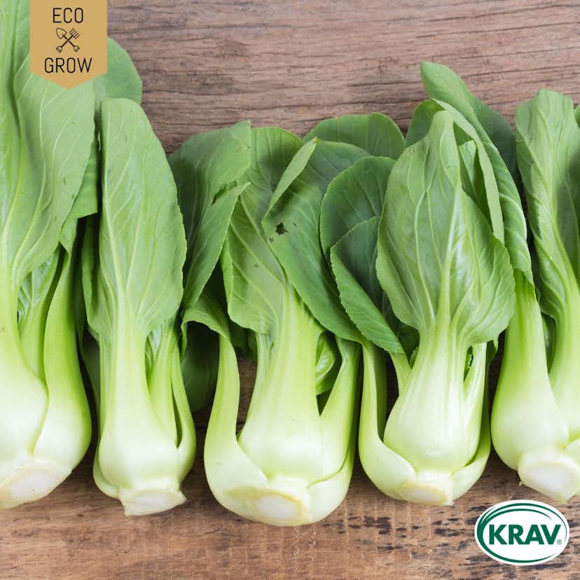 Fröpåse Eco Grow Pak Choi