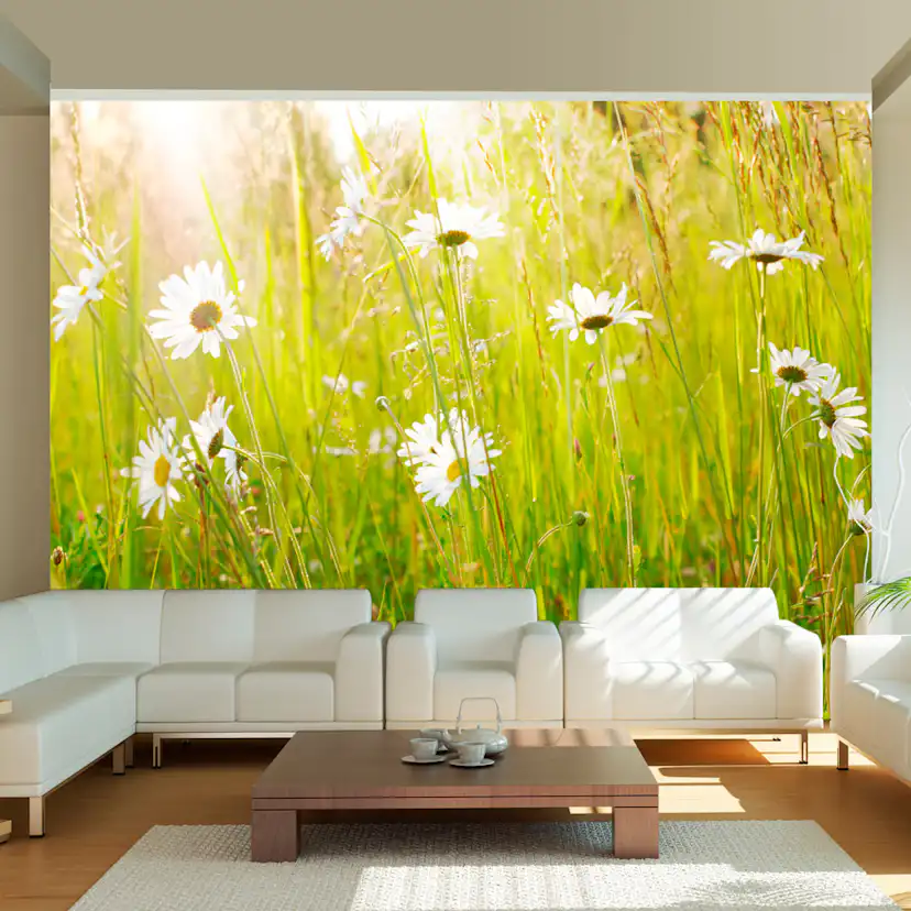 Fototapet Arkiio Daisy Field