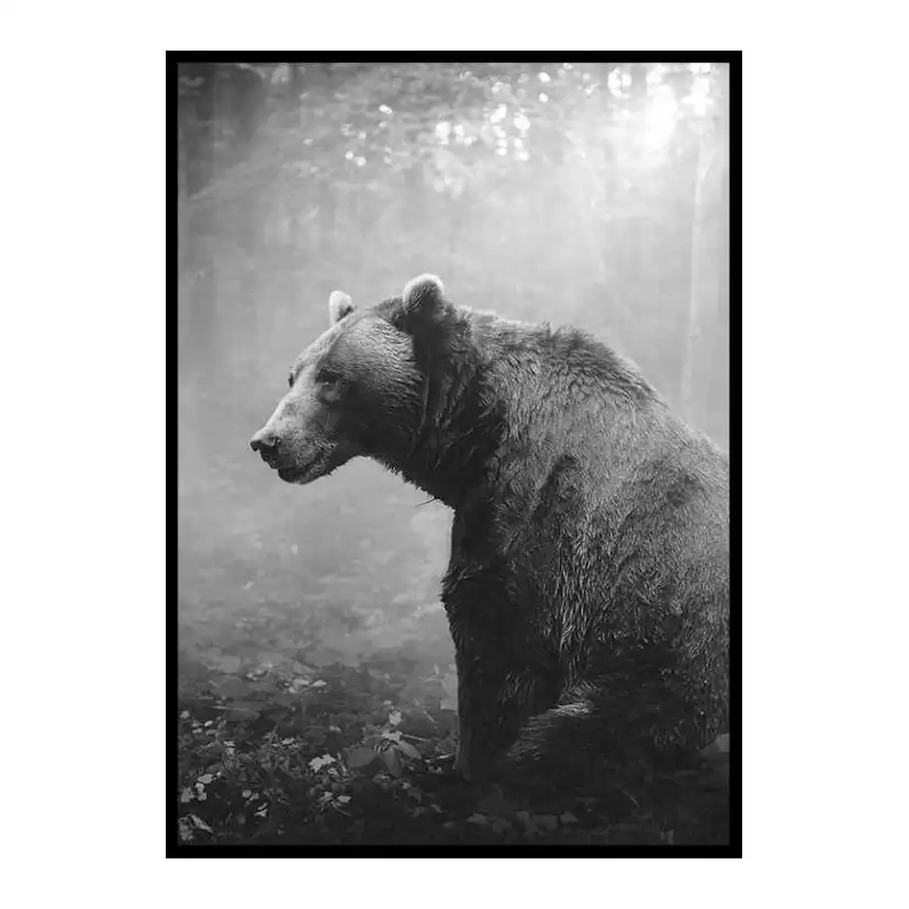 Poster Gallerix Grizzly Bear