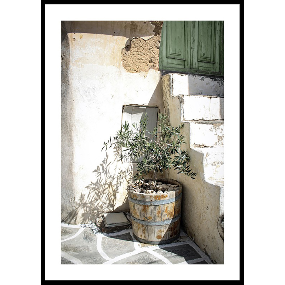Poster Gallerix Olive Tree Entrance