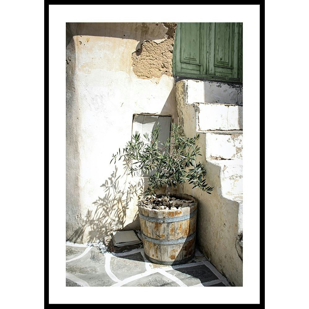 Poster Gallerix Olive Tree Entrance