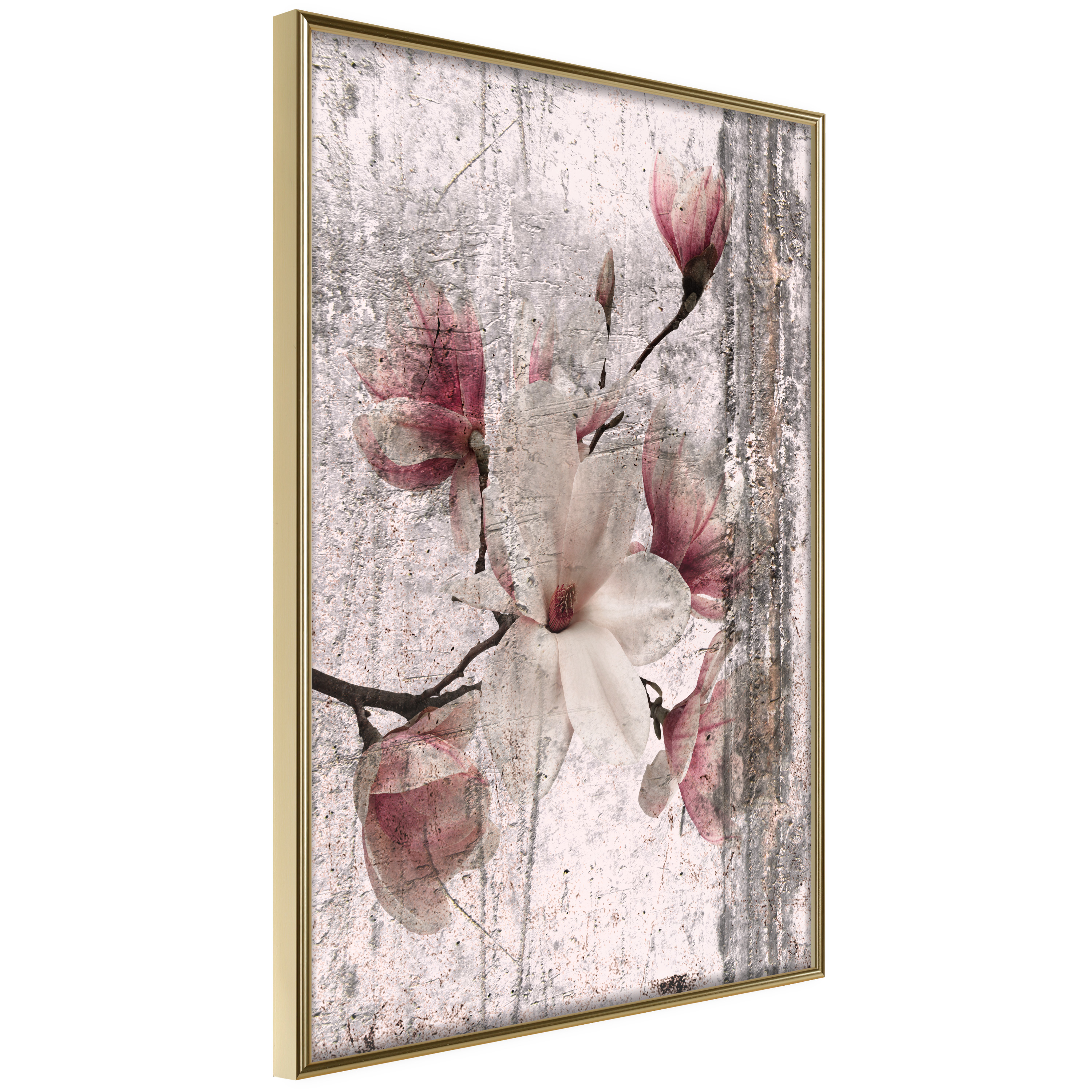 Affisch - Memorial Magnolia [Poster] 20x30 Guld ram, 20x30 cm