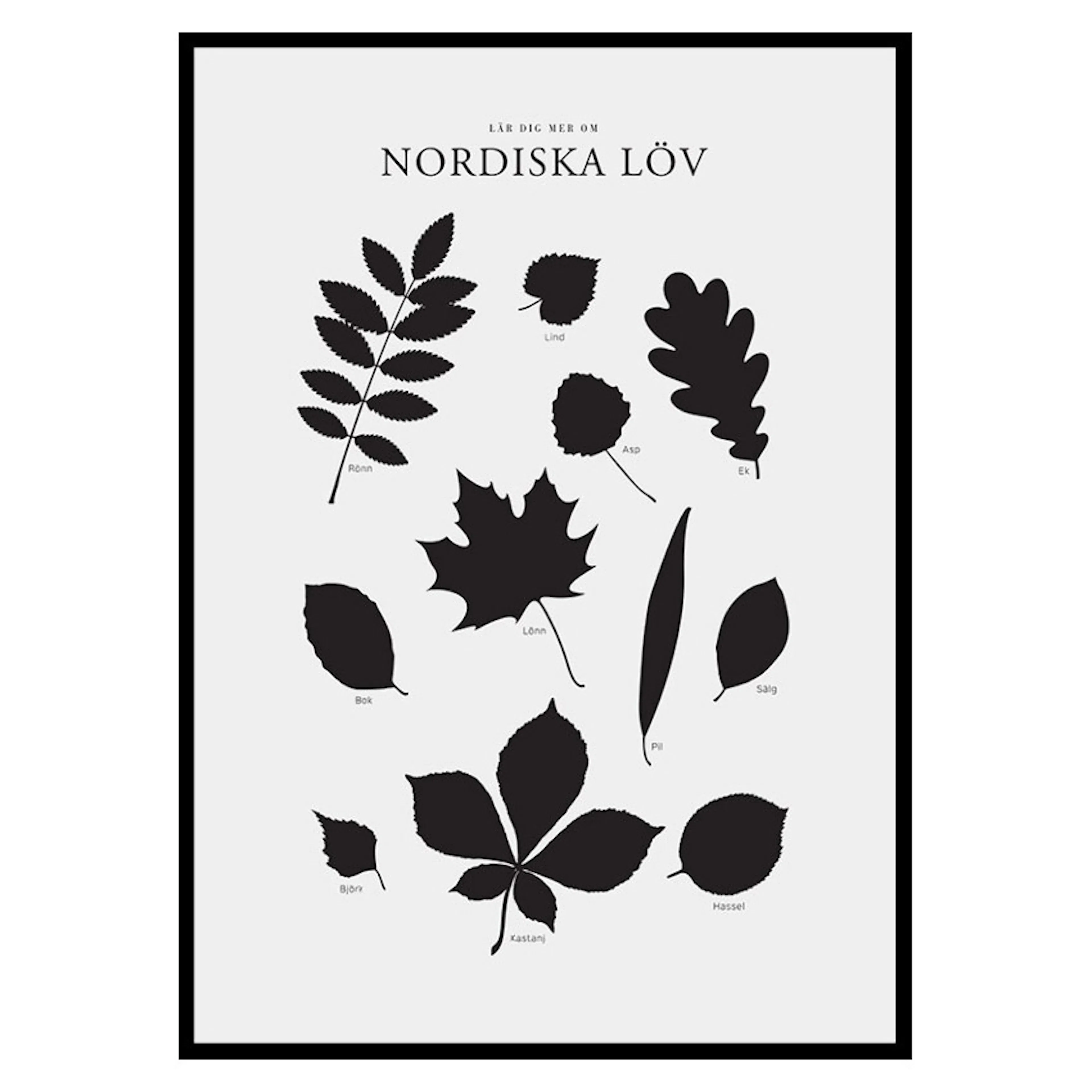 Poster Gallerix Nordiska Löv