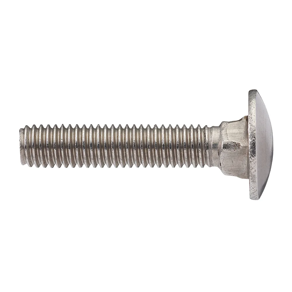 VAGNSBULT MVBF DIN 603 M10x100 A2 10x100 mm, Antal: 25 st