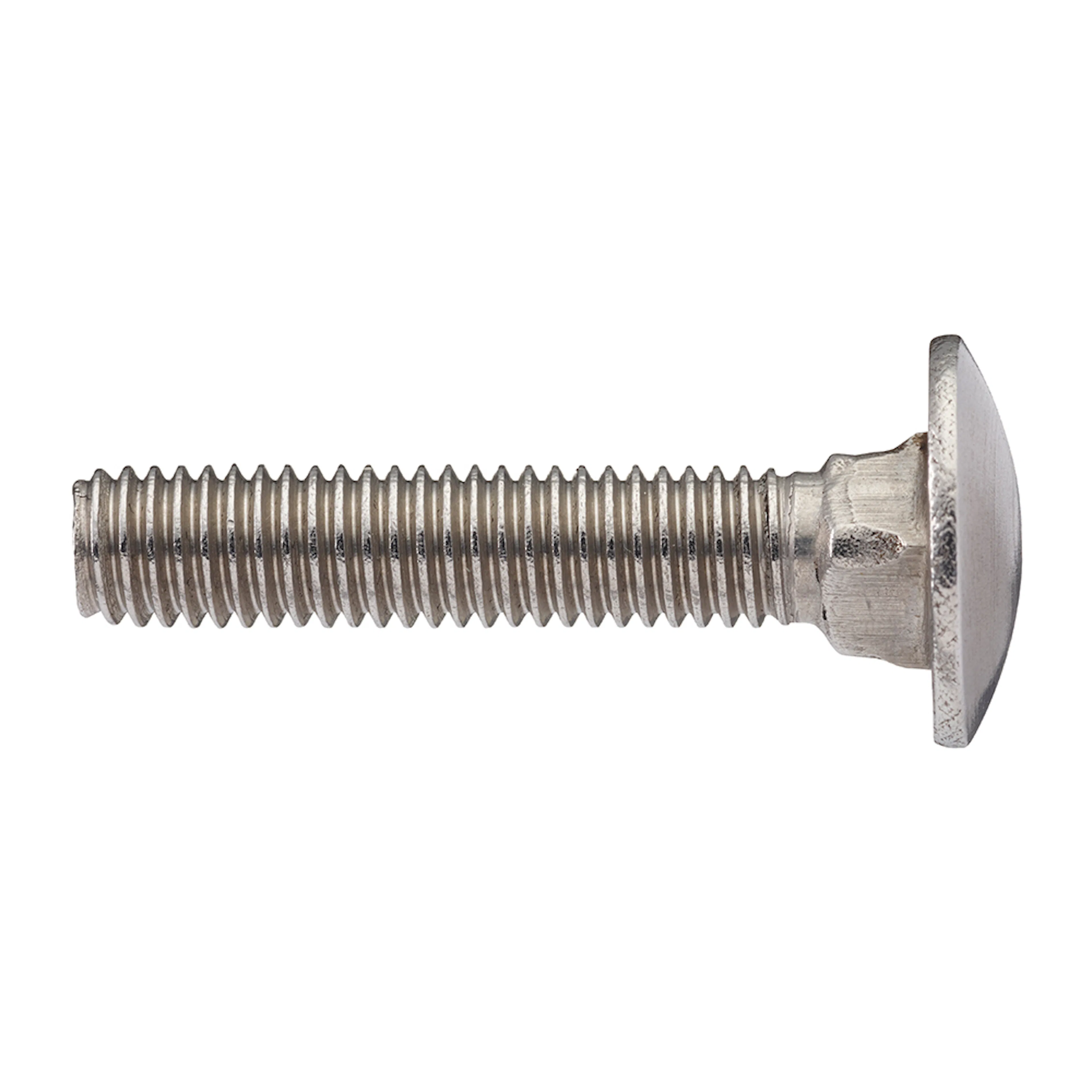 VAGNSBULT MVBF DIN 603 M10x100 A2 10x100 mm, Antal: 25 st
