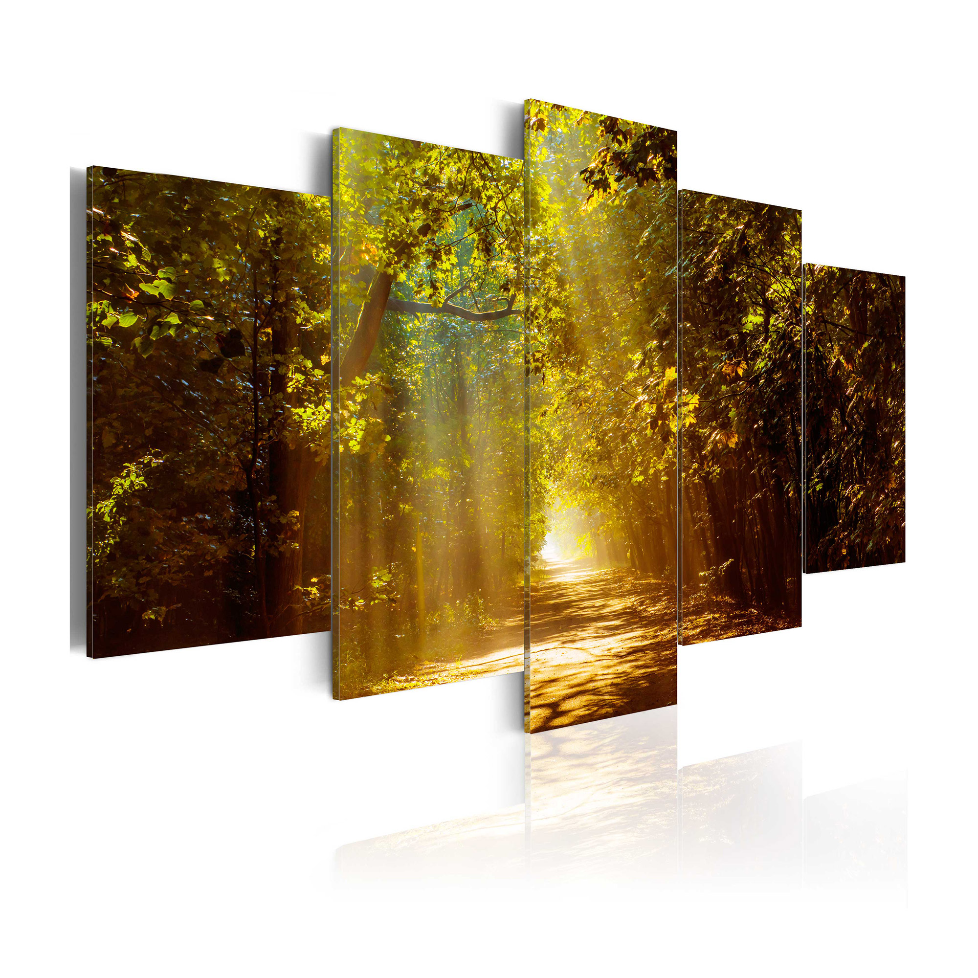 Tavla Arkiio Forest In The Sunlight