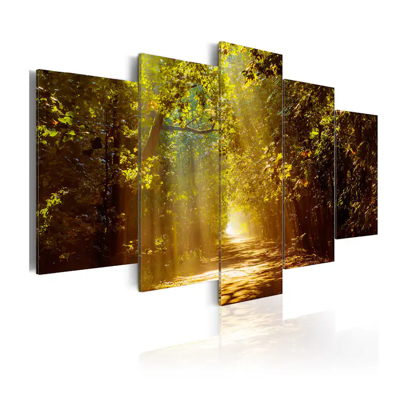 Tavla Arkiio Forest In The Sunlight