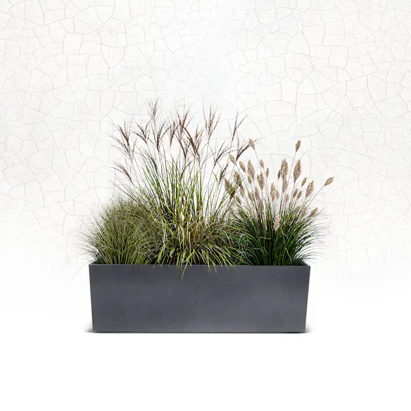 Blomkruka Recal Sonata Tabletop