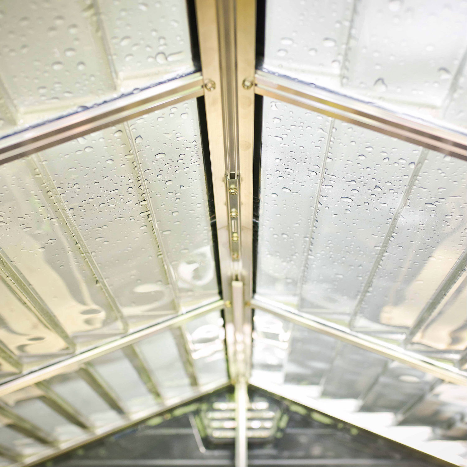 Skjul Canopia by Palram Skylight 4,2 m²