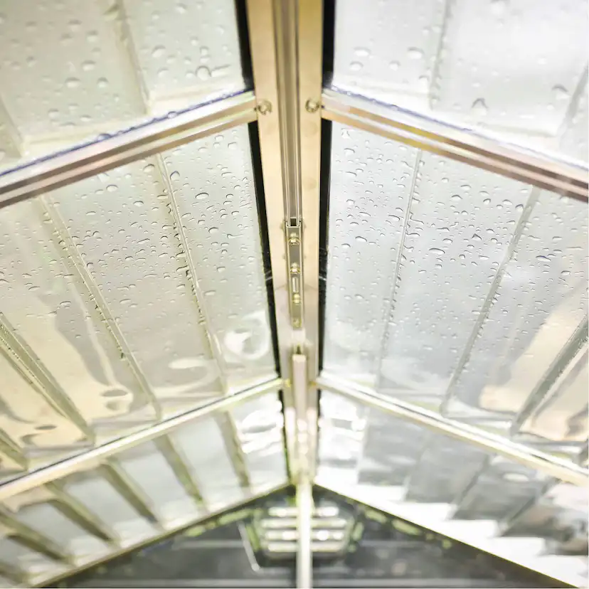 Skjul Canopia by Palram Skylight 4,2 m²