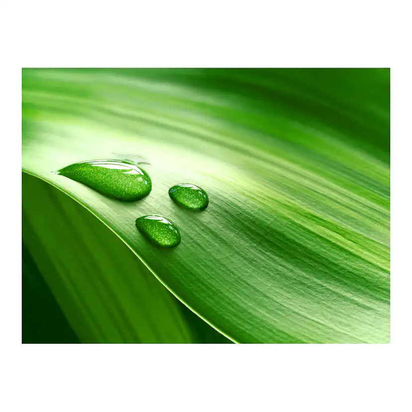 Fototapet Arkiio Leaf Och Tre Droppar Vatten