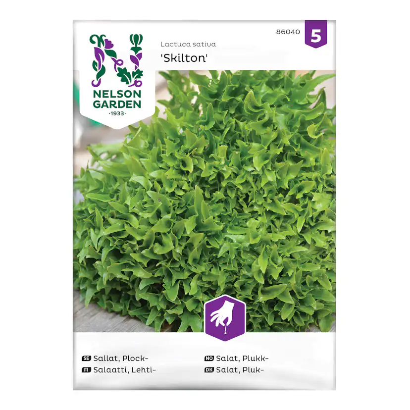 Frö Plocksallat Nelson Garden Skilton