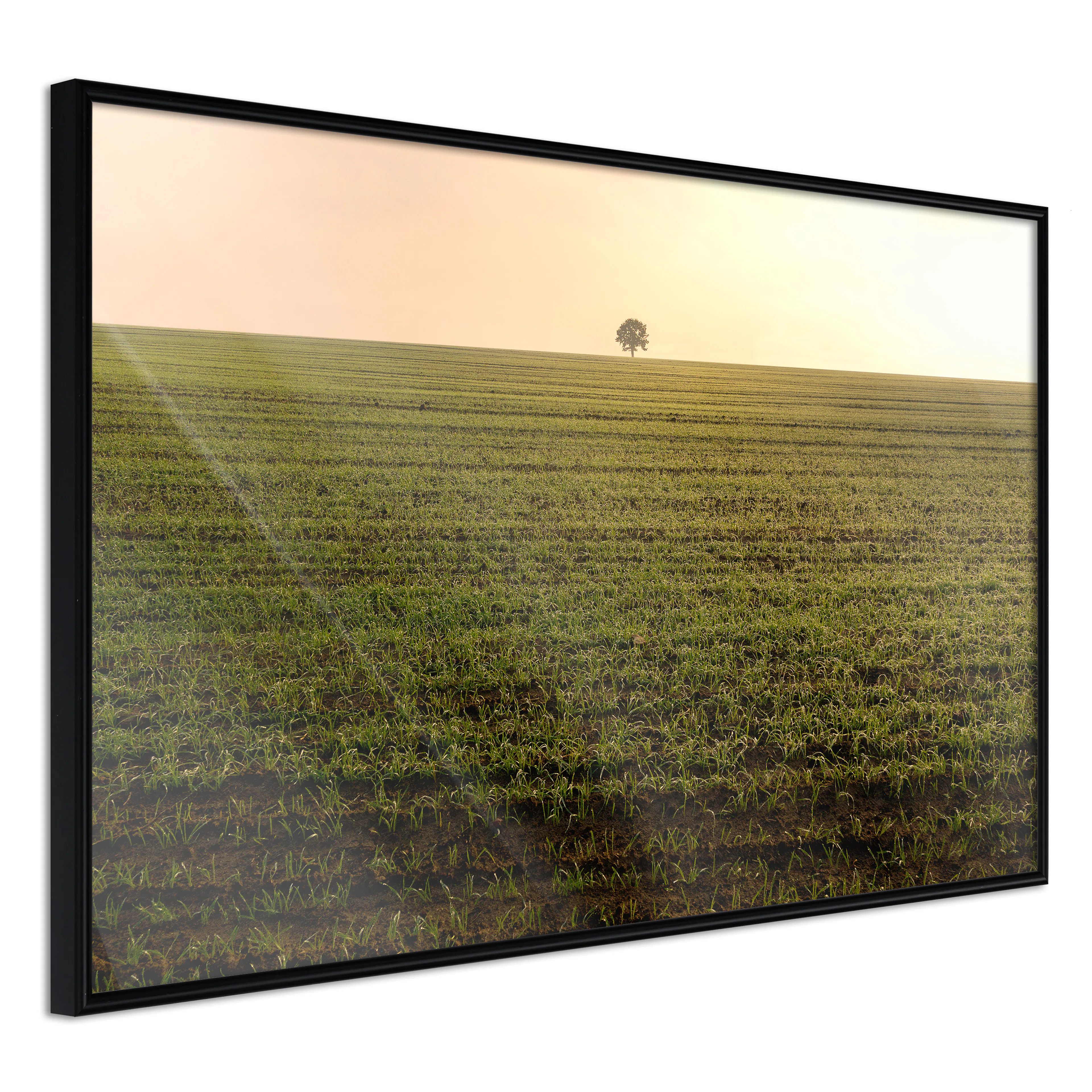 Affisch - Autumn Morning [Poster] 60x40 Svart ram, 60x40 cm