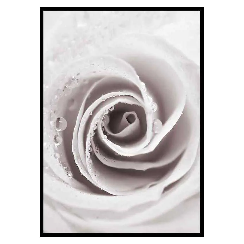 Poster Gallerix Bright Pink Rose No1