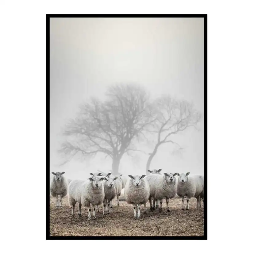 Poster Gallerix Sheep In Fog
