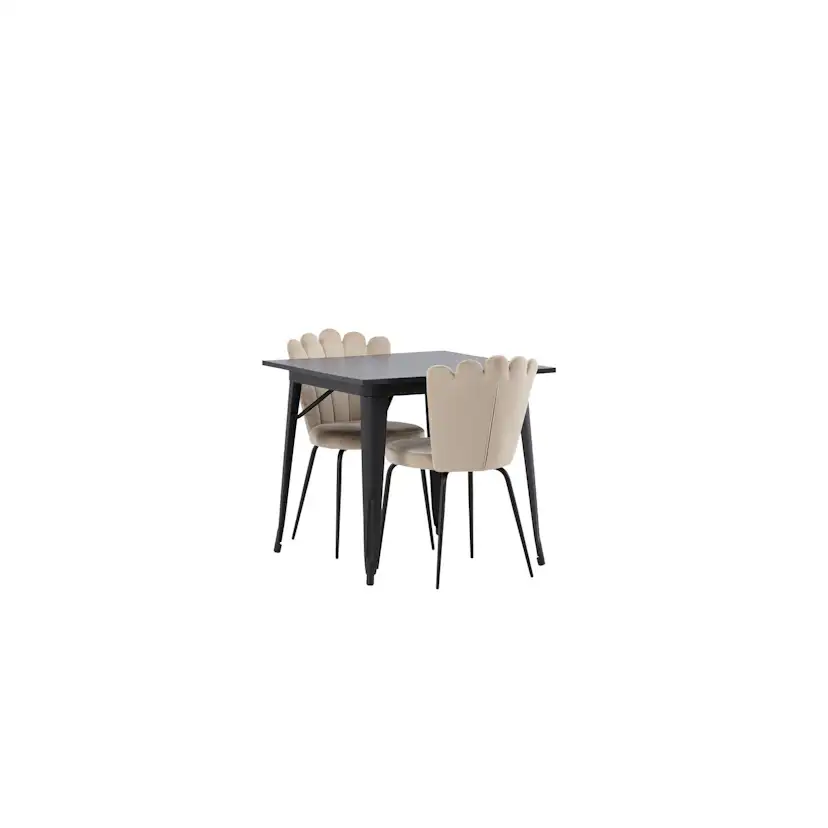 Matgrupp Venture Home Tempe med 2 Limhamn Light Stolar