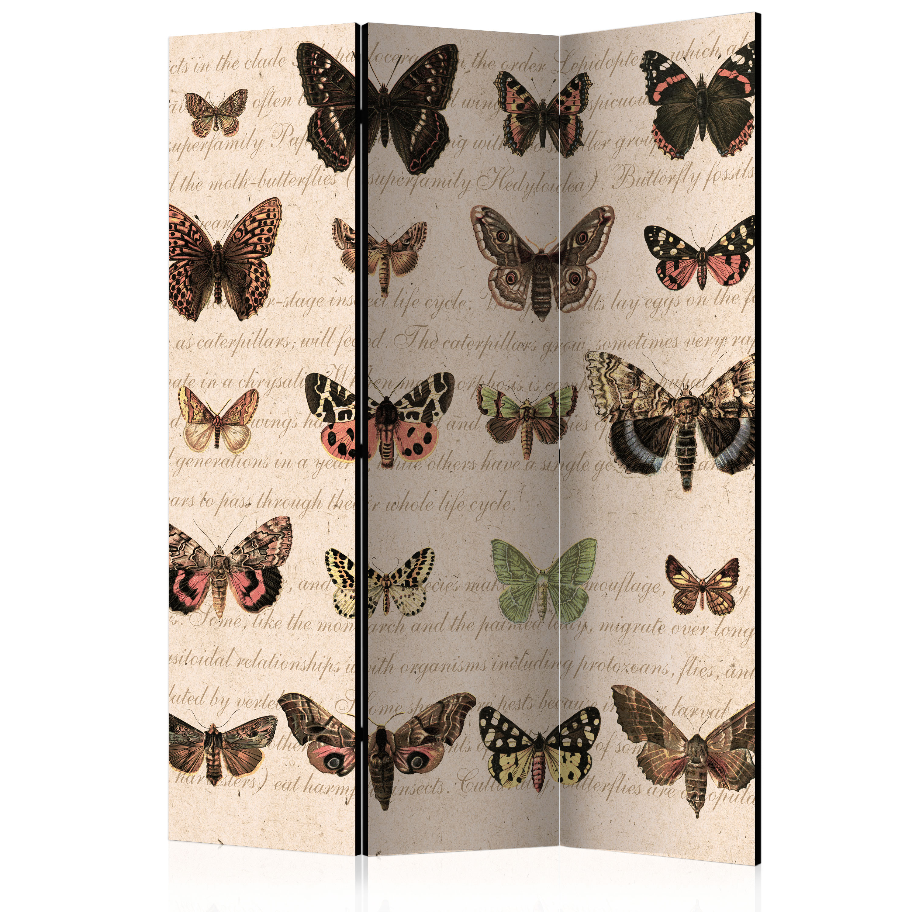 Rumsavdelare Arkiio Retro Style: Butterflies 135x172 cm