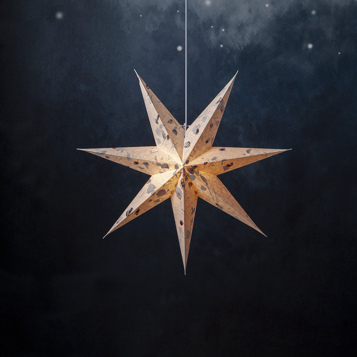 Adventsstjärna Star Trading Care Pappersstjärna