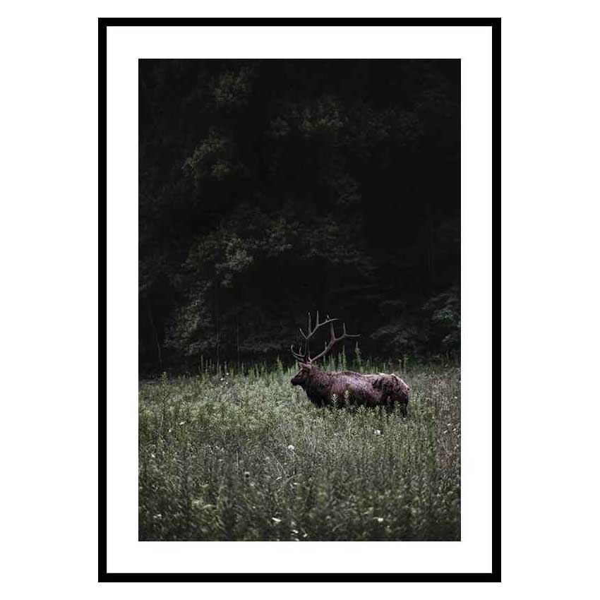 Poster Gallerix Deer in Nature