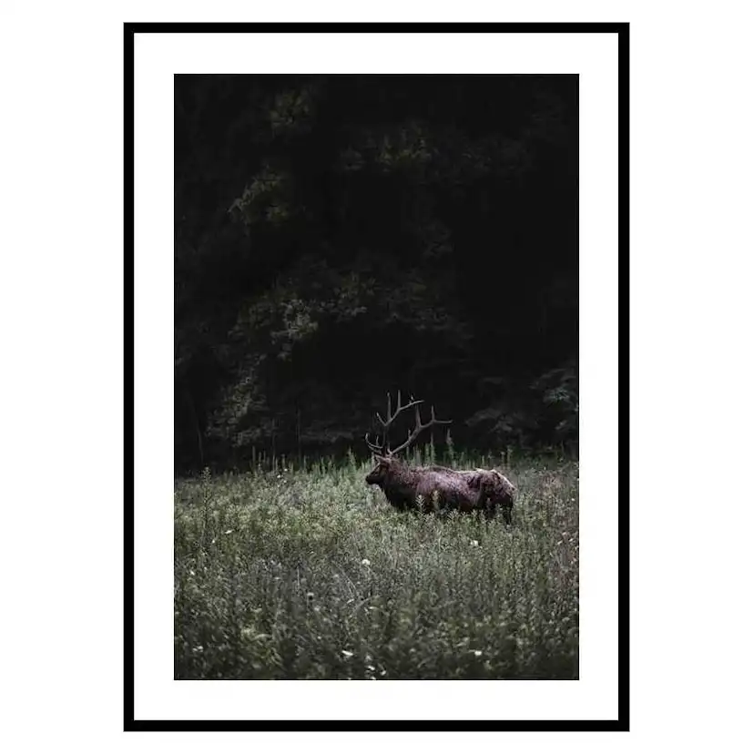 Poster Gallerix Deer in Nature