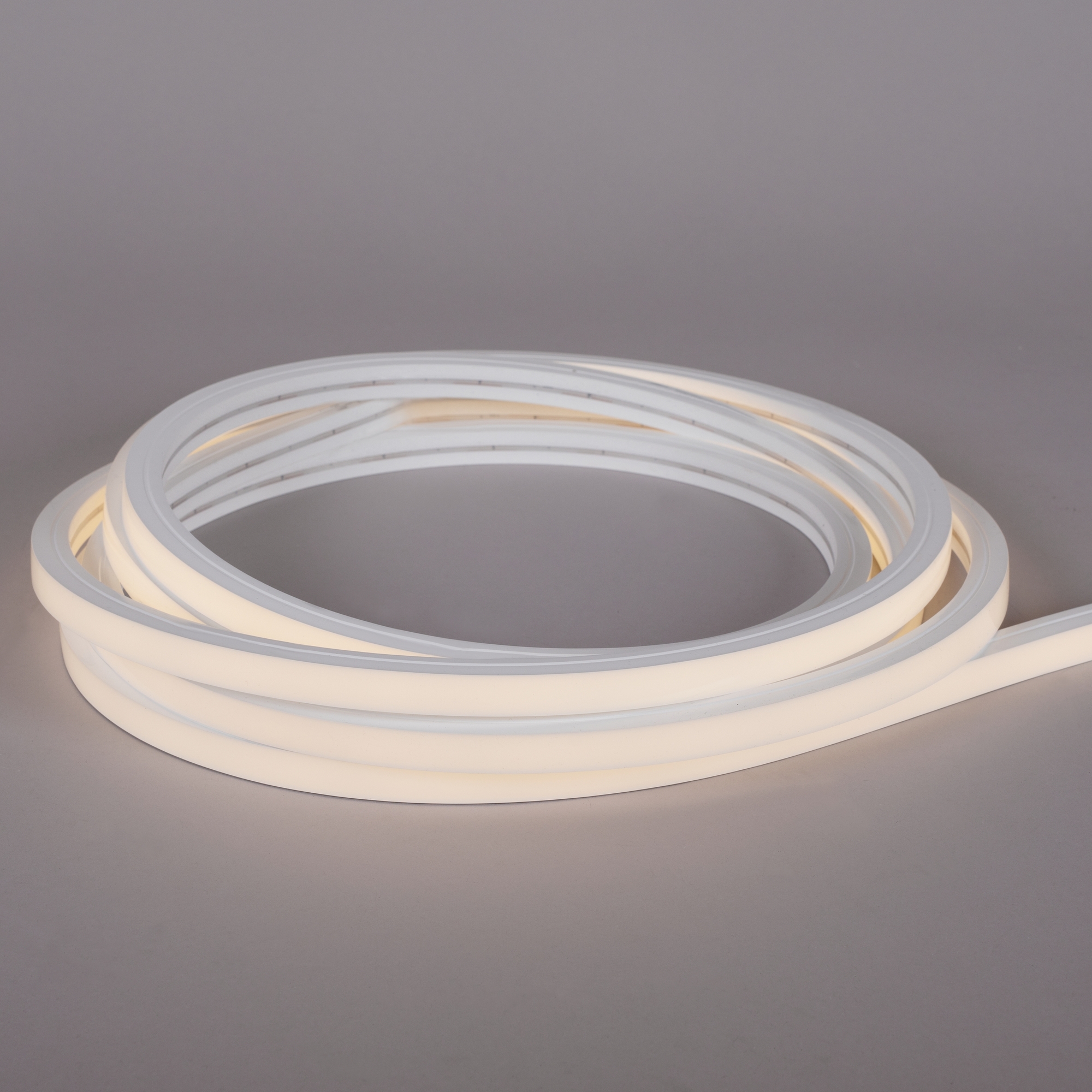 LED-strip Hide-a-lite Neon Top 24V IP67 RGB 5 m