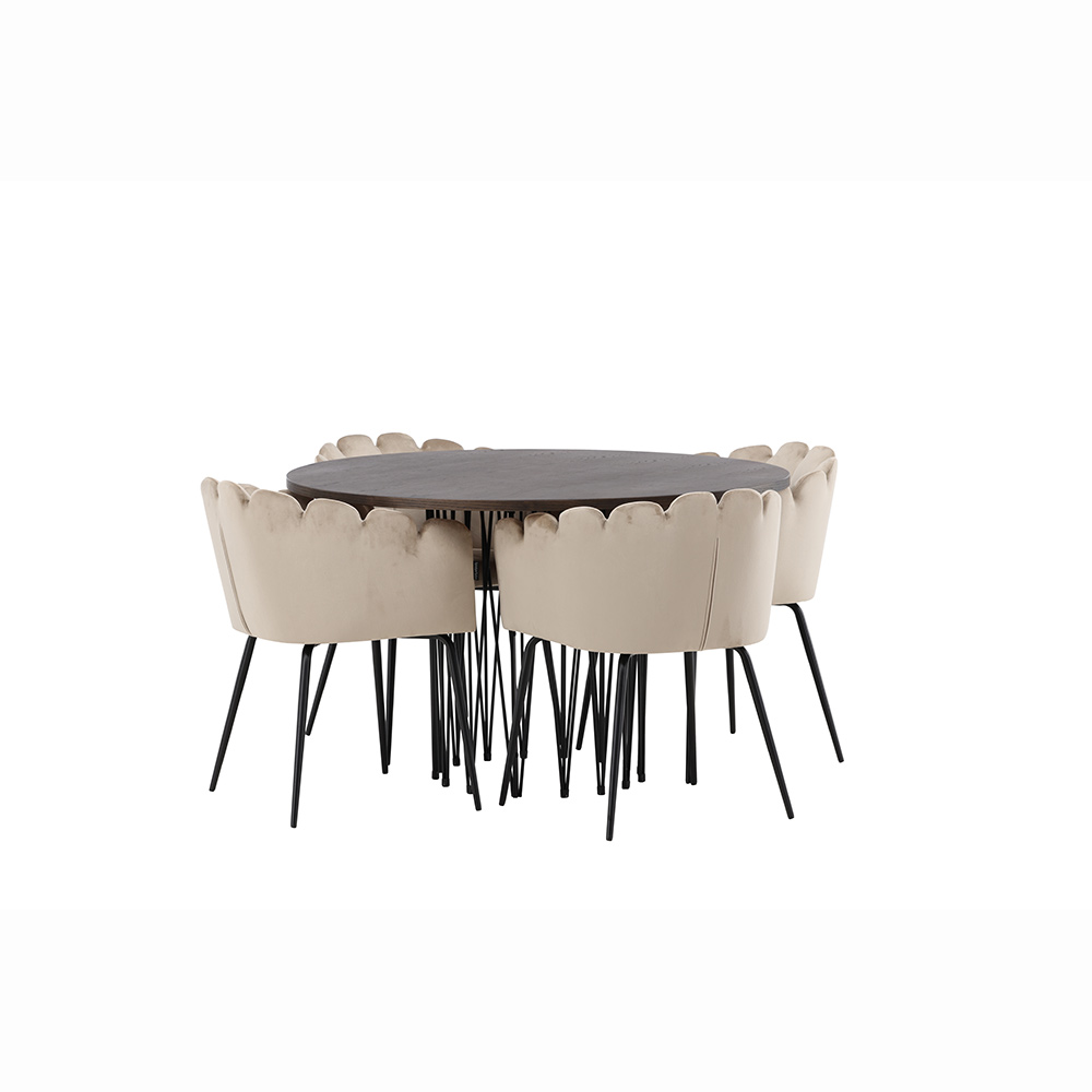 Matgrupp furniture/fashion Stone med 4 Limhamn Stolar Runt