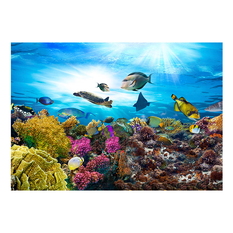 Fototapet Arkiio Coral Reef