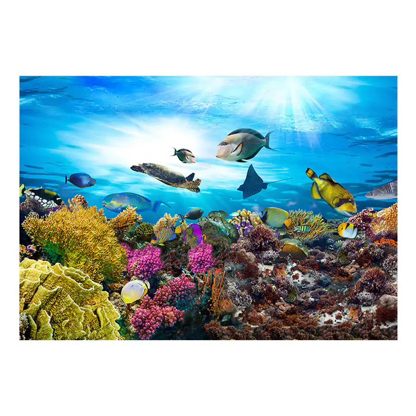 Fototapet Arkiio Coral Reef