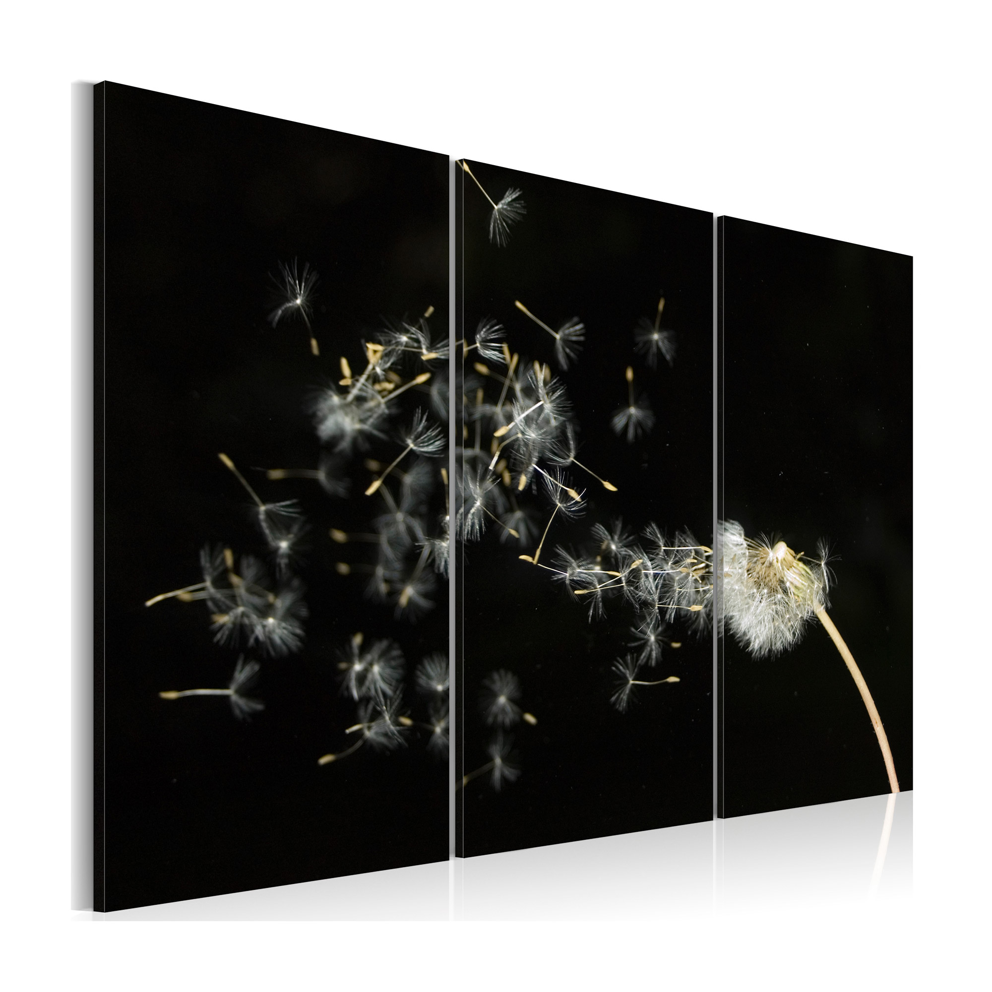 Tavla Arkiio Dandelions The Transience