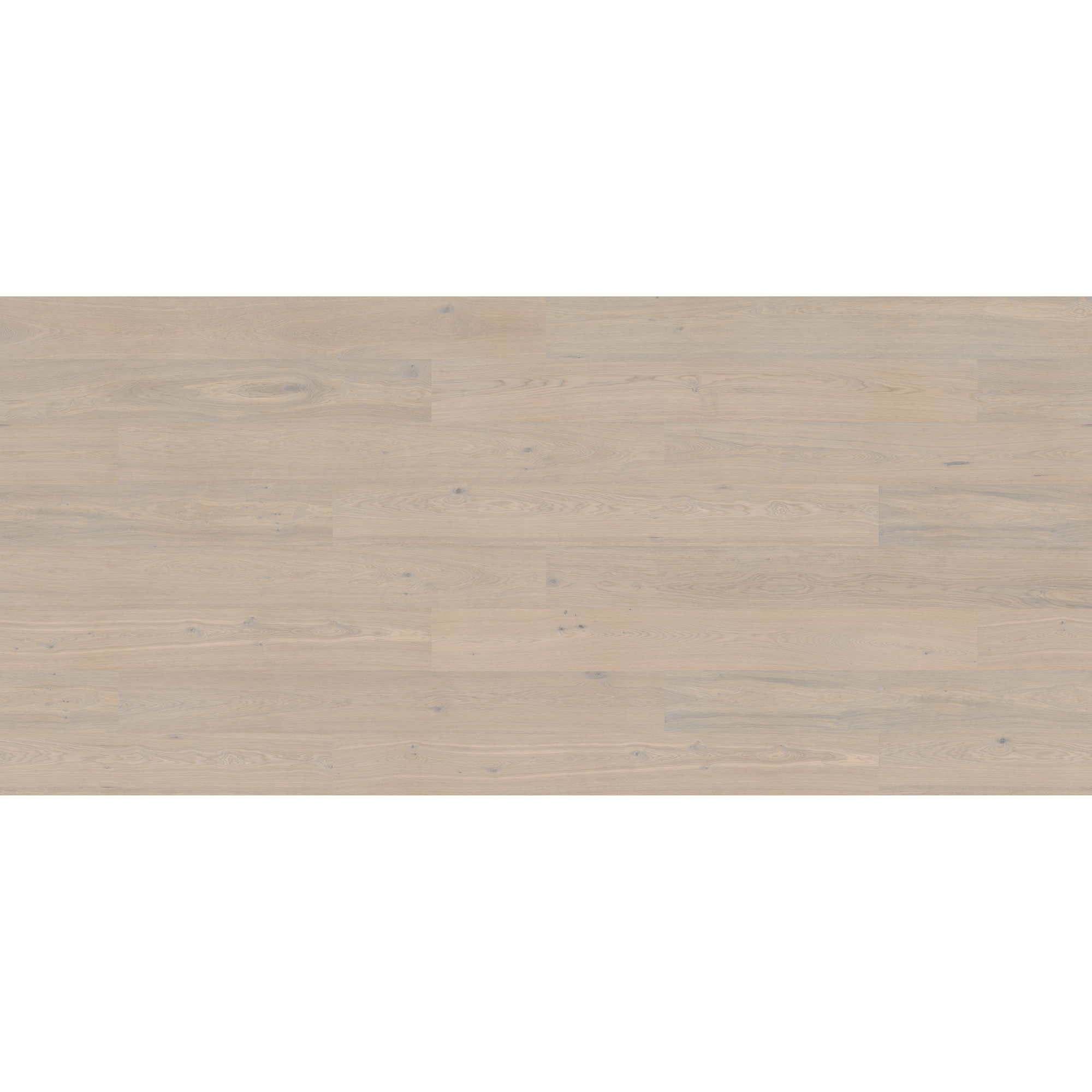 DALBY 3.0 XXL