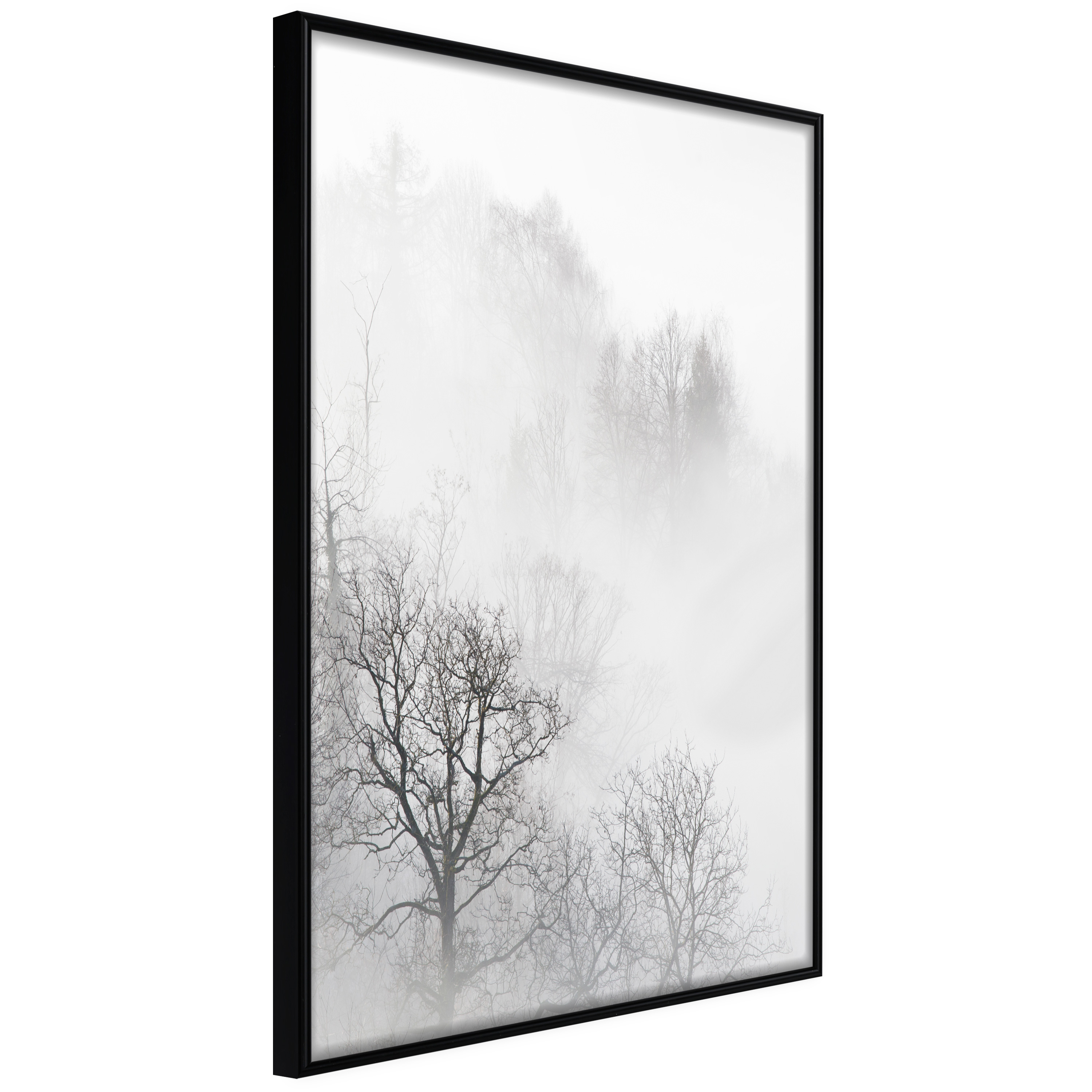 Affisch - Trees In The Fog [Poster] 40x60 Svart ram, 40x60 cm