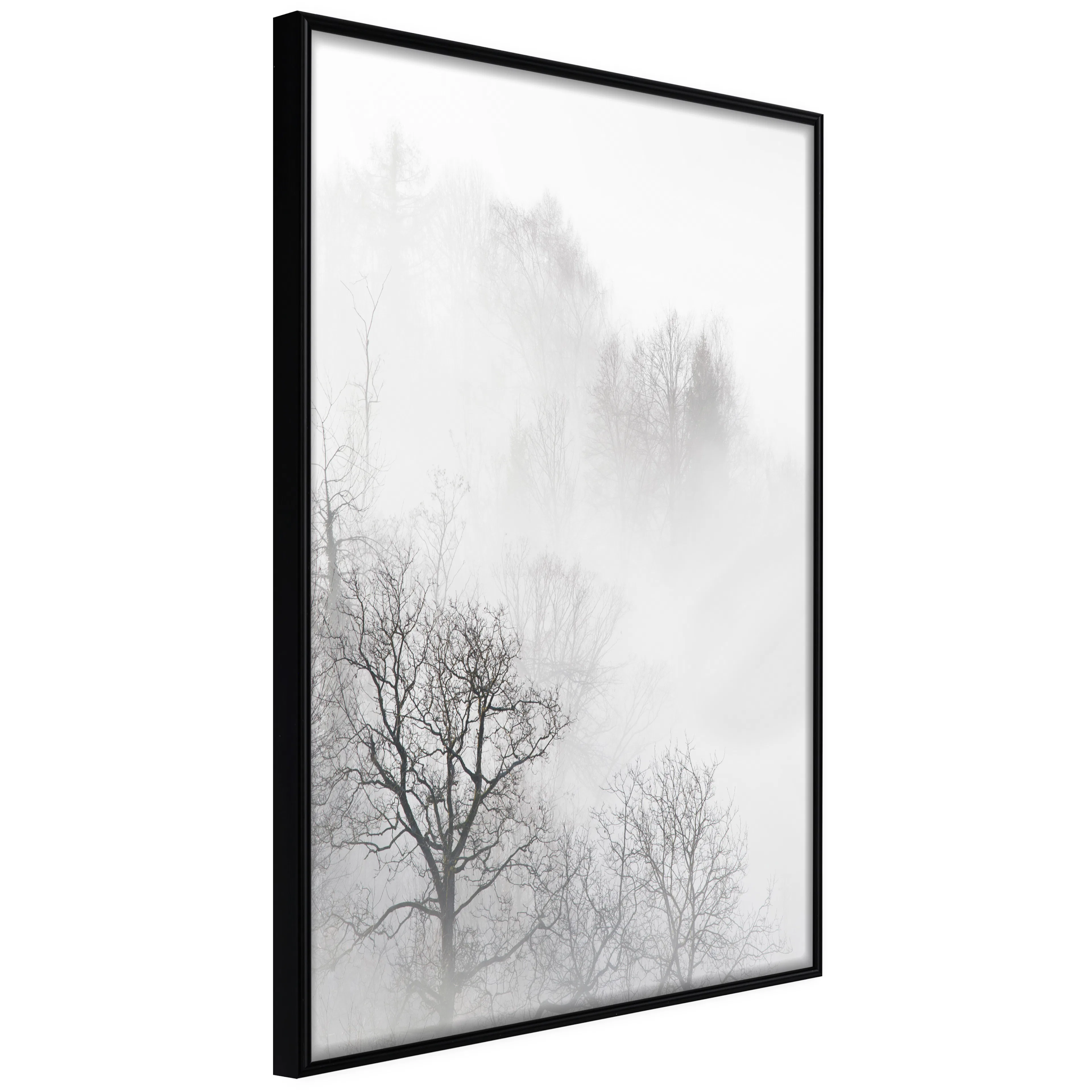 Affisch - Trees In The Fog [Poster] 40x60 Svart ram, 40x60 cm