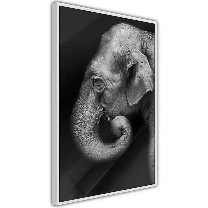 Poster Artgeist Affisch Portrait of Elephant
