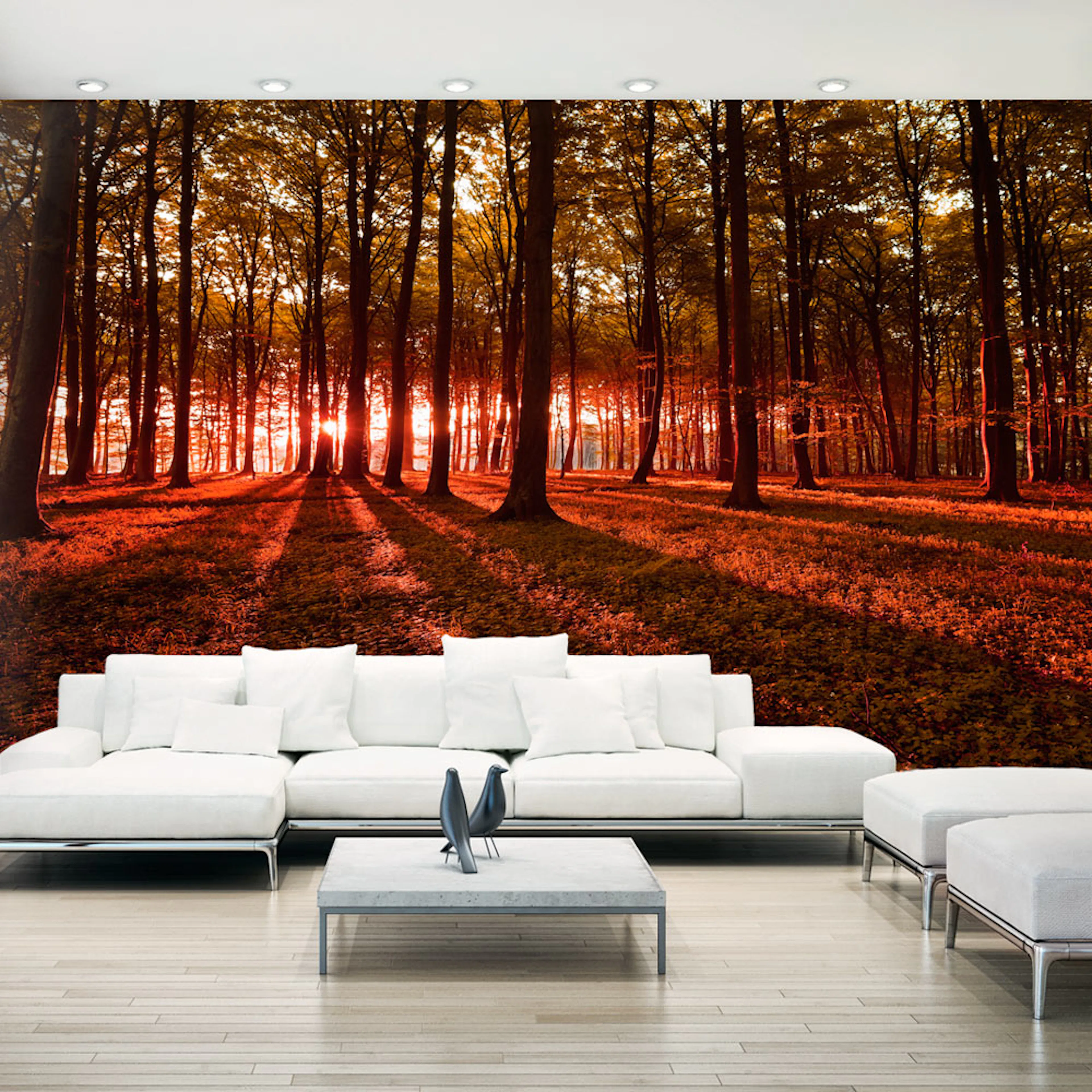 Fototapet Arkiio Självhäftande Autumn Morning II 490x280